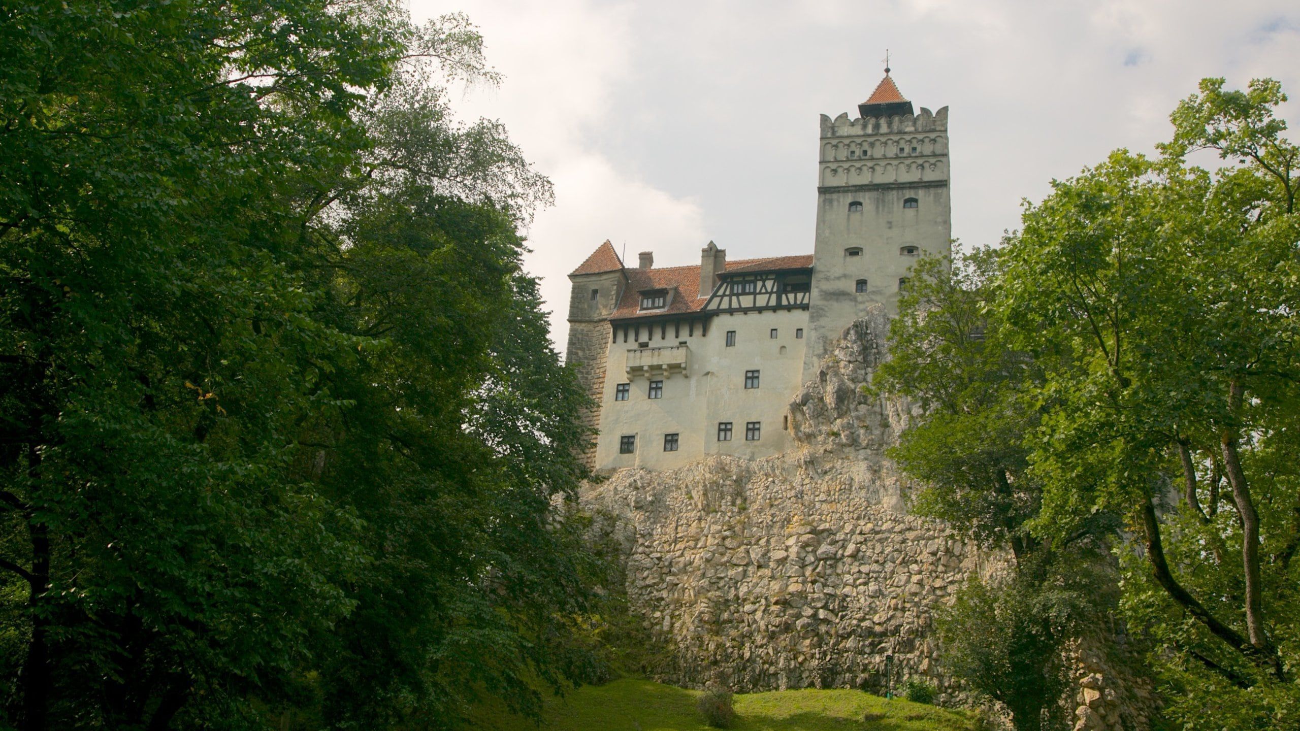2560x1440 Bran Castle Tours