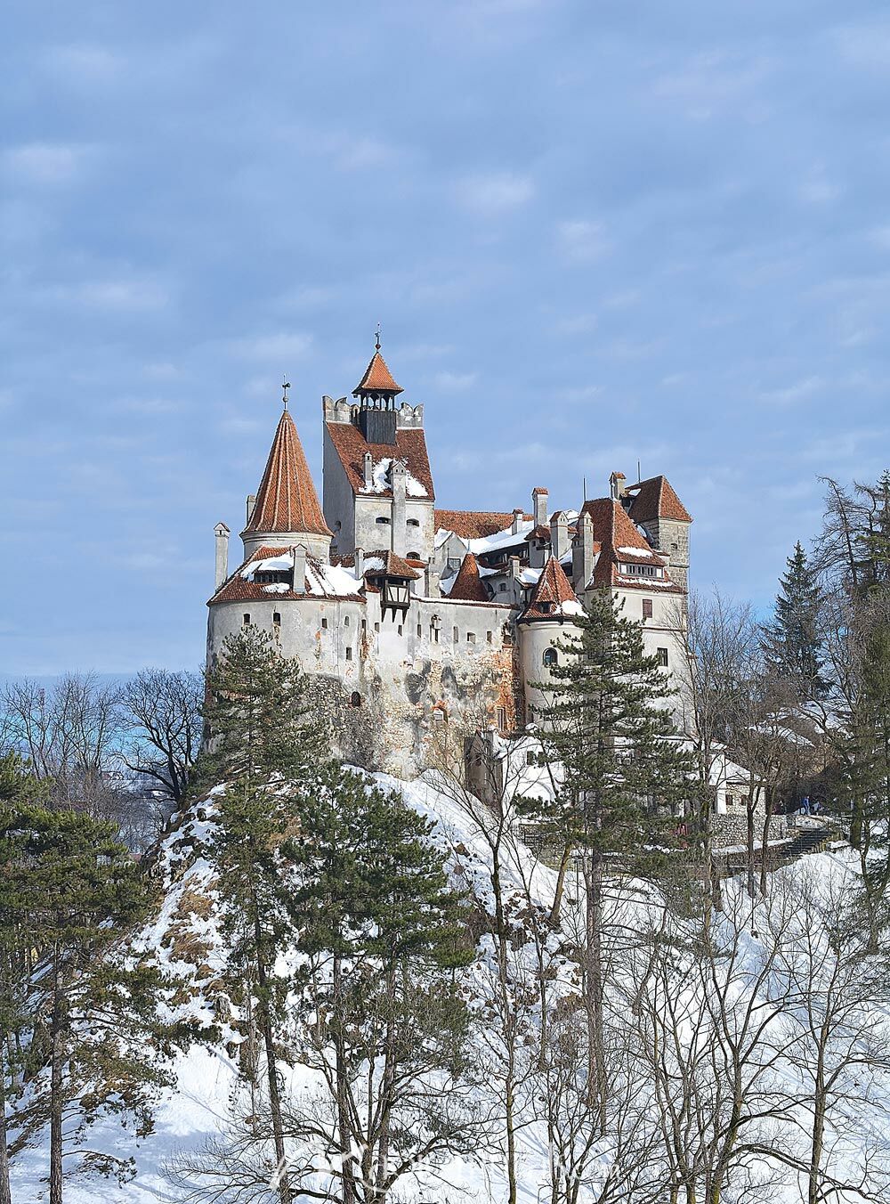 1000x1352 Draculas Castle