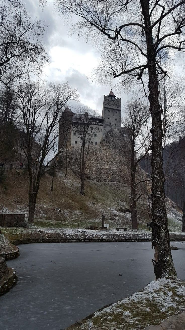 736x1308 Bran Castle, Romania
