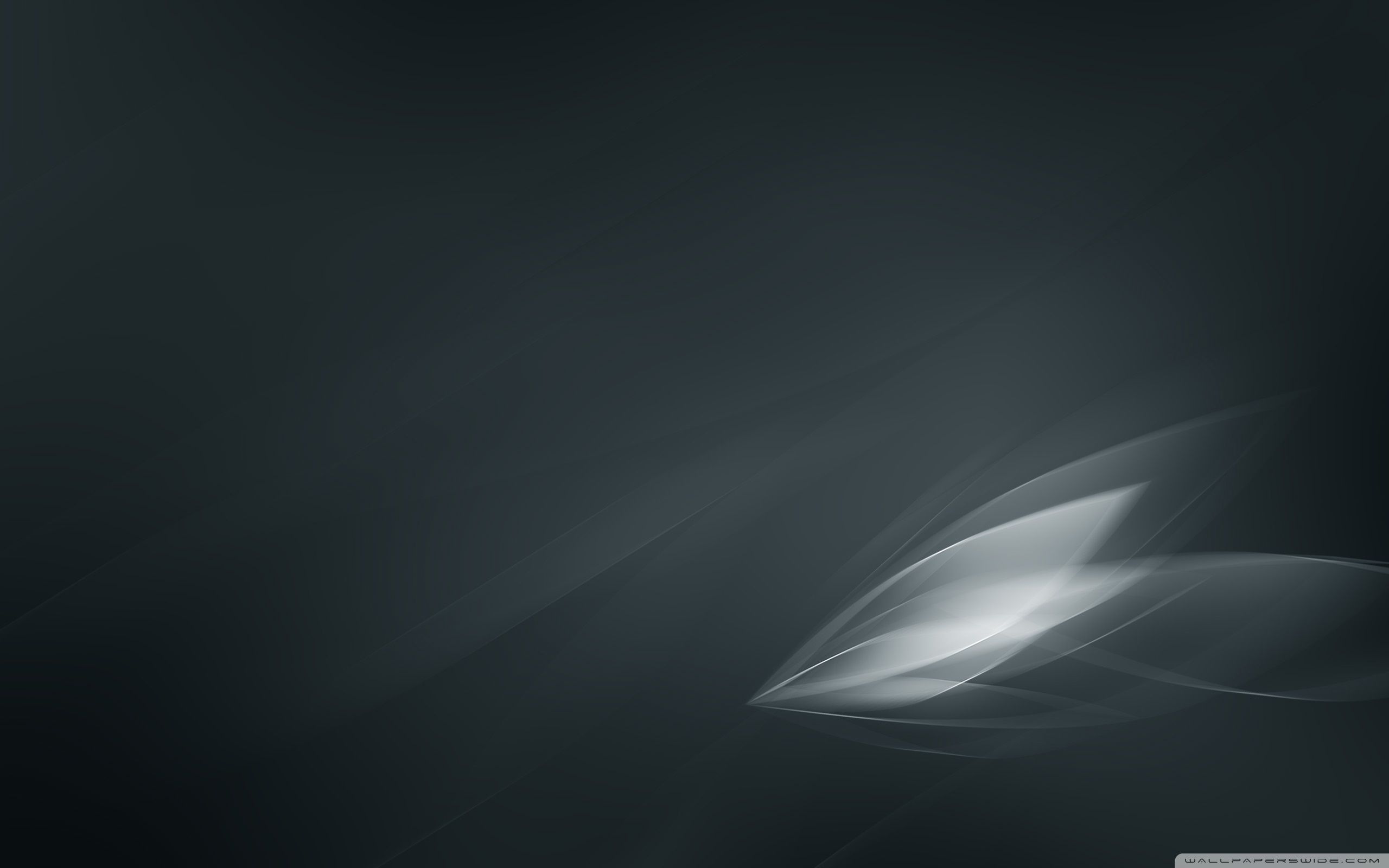 2560x1600 Aero Stream Black 4K UHD Wallpaper for UltraHD Desktop and TV : Widescreen and UltraWide Display : Smartphone and Tablet Devices