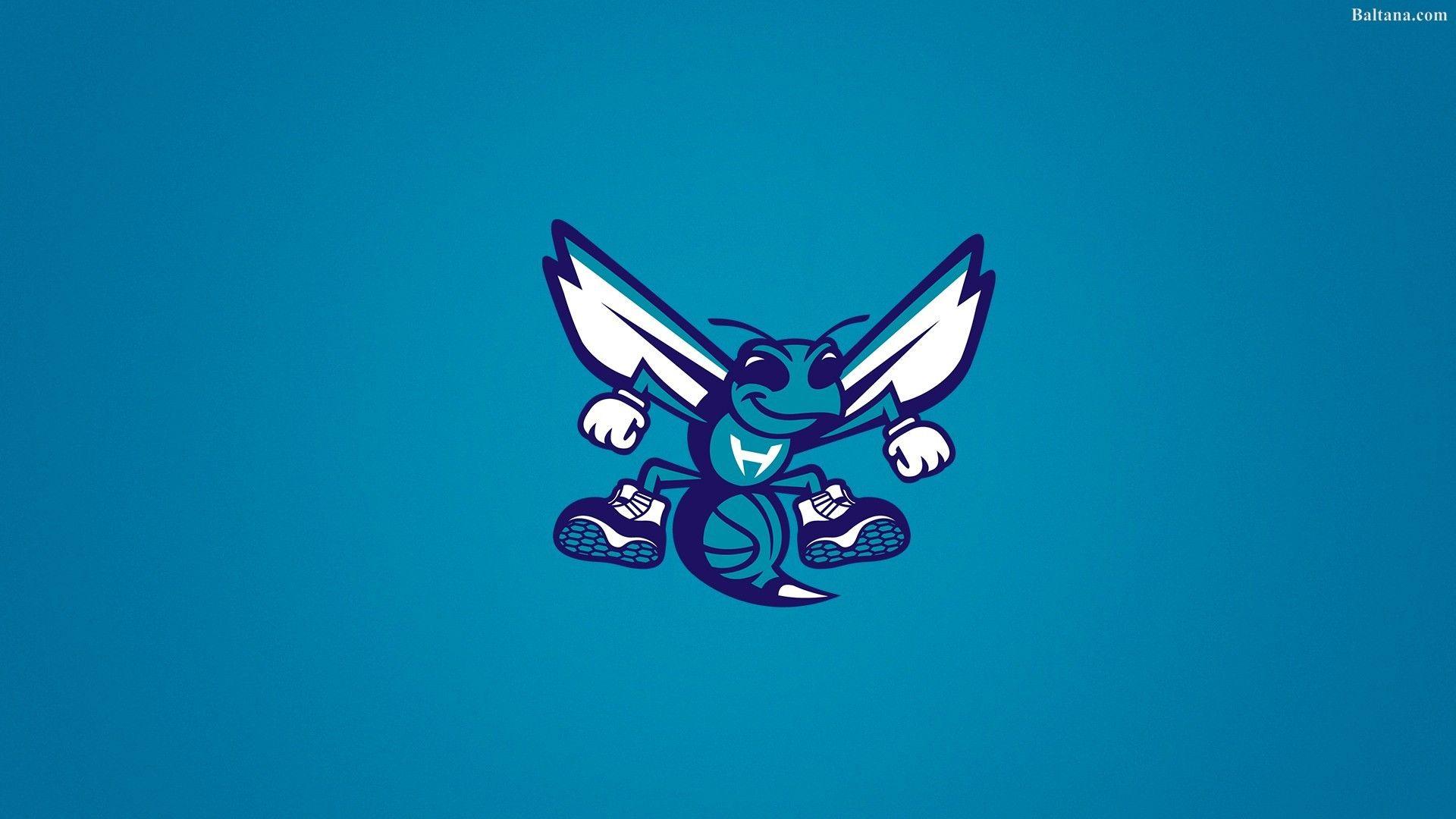Charlotte Hornets IPhone Wallpaper 79 images