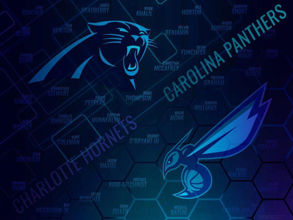 Carolina Panthers iPhone Wallpapers - Top Free Carolina Panthers iPhone  Backgrounds - WallpaperAccess