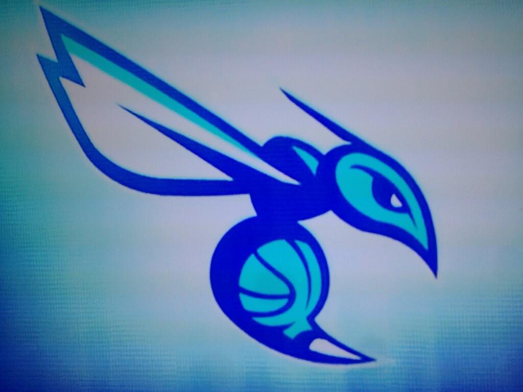 1024x768 Charlotte Hornets Desktop Background
