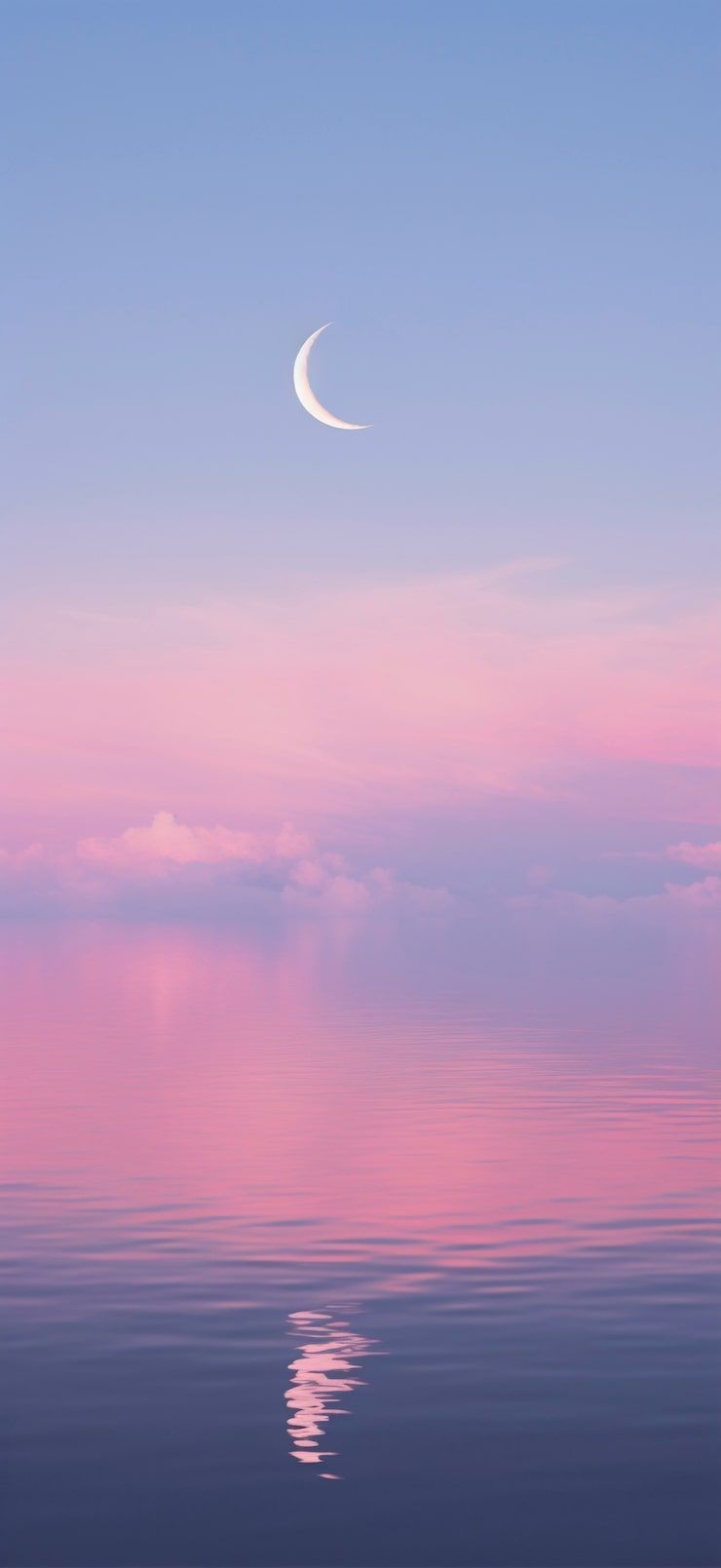 740x1609 Aesthetic Phone Wallpaper Photo Free High Quality Picture