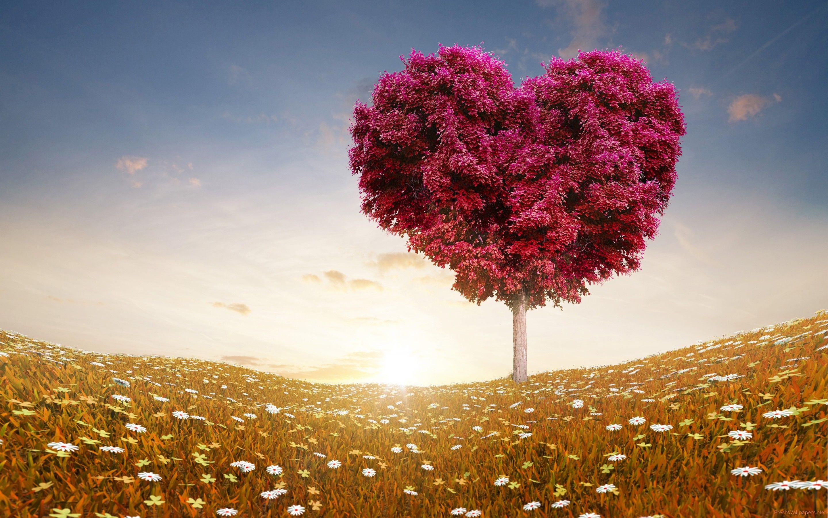 2880x1800 Best Selling Indie Romance Authors Share Their Valentine's Day