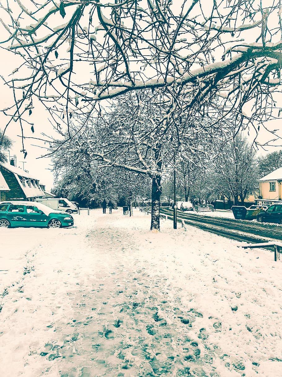 910x1213 London snow 1080P, 2K, 4K, 5K HD wallpaper free download