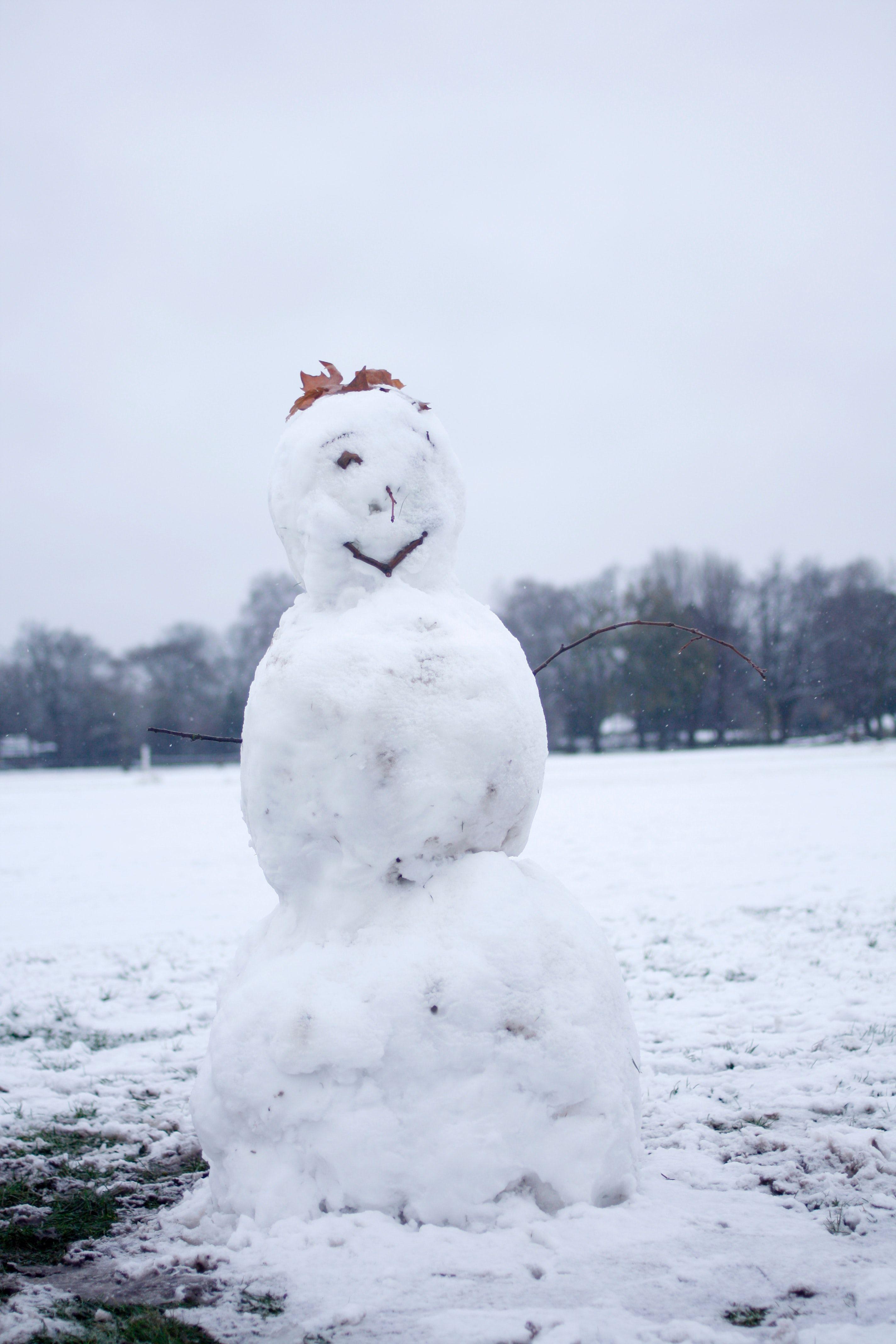 2848x4272 London Snow Picture. Download Free Image