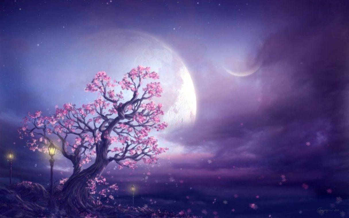 Dreaming Wallpapers - Top Free Dreaming Backgrounds - WallpaperAccess