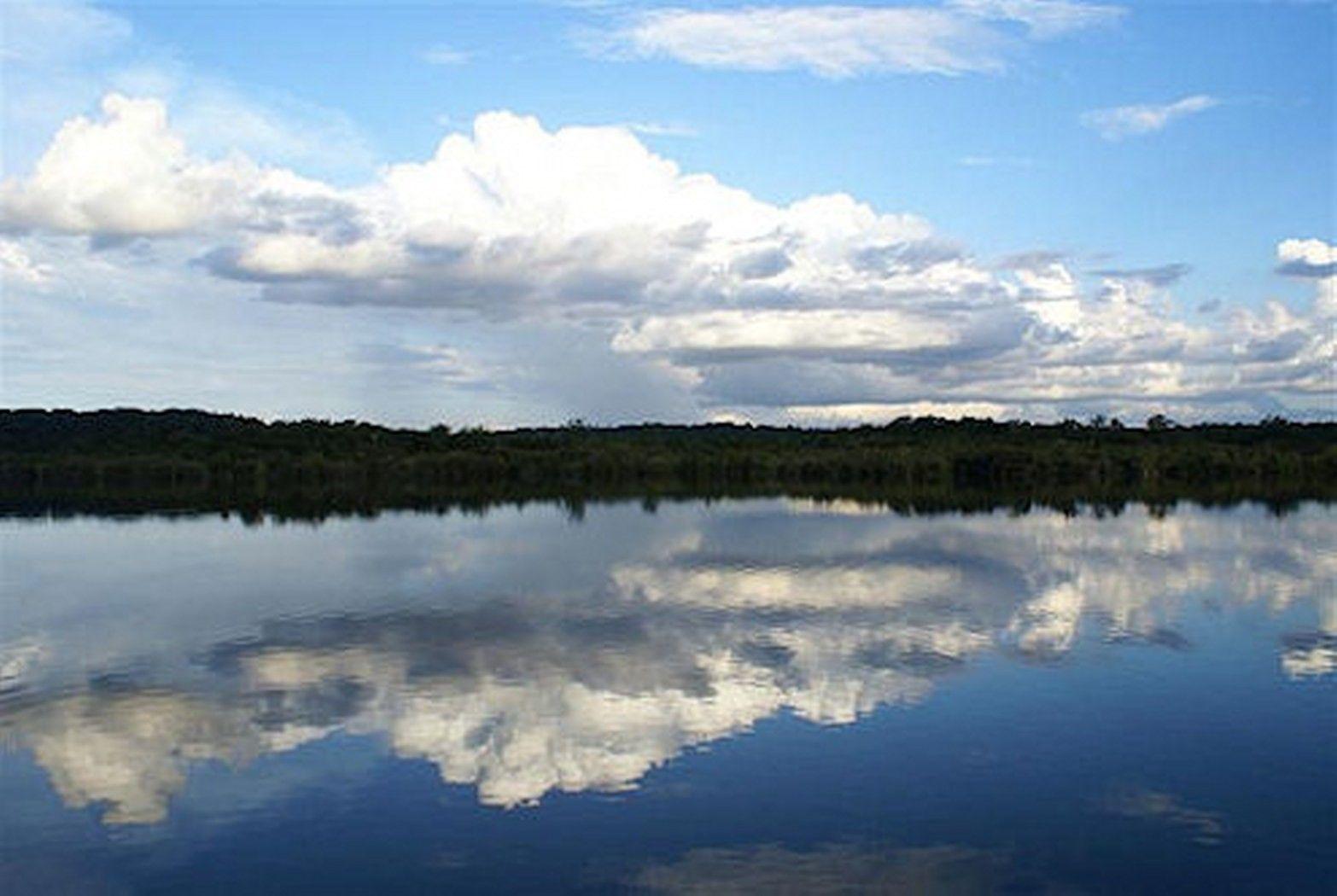1566x1050 Rivers: Rio Rainforest Sky Negro Amazon Reflections Brazil River