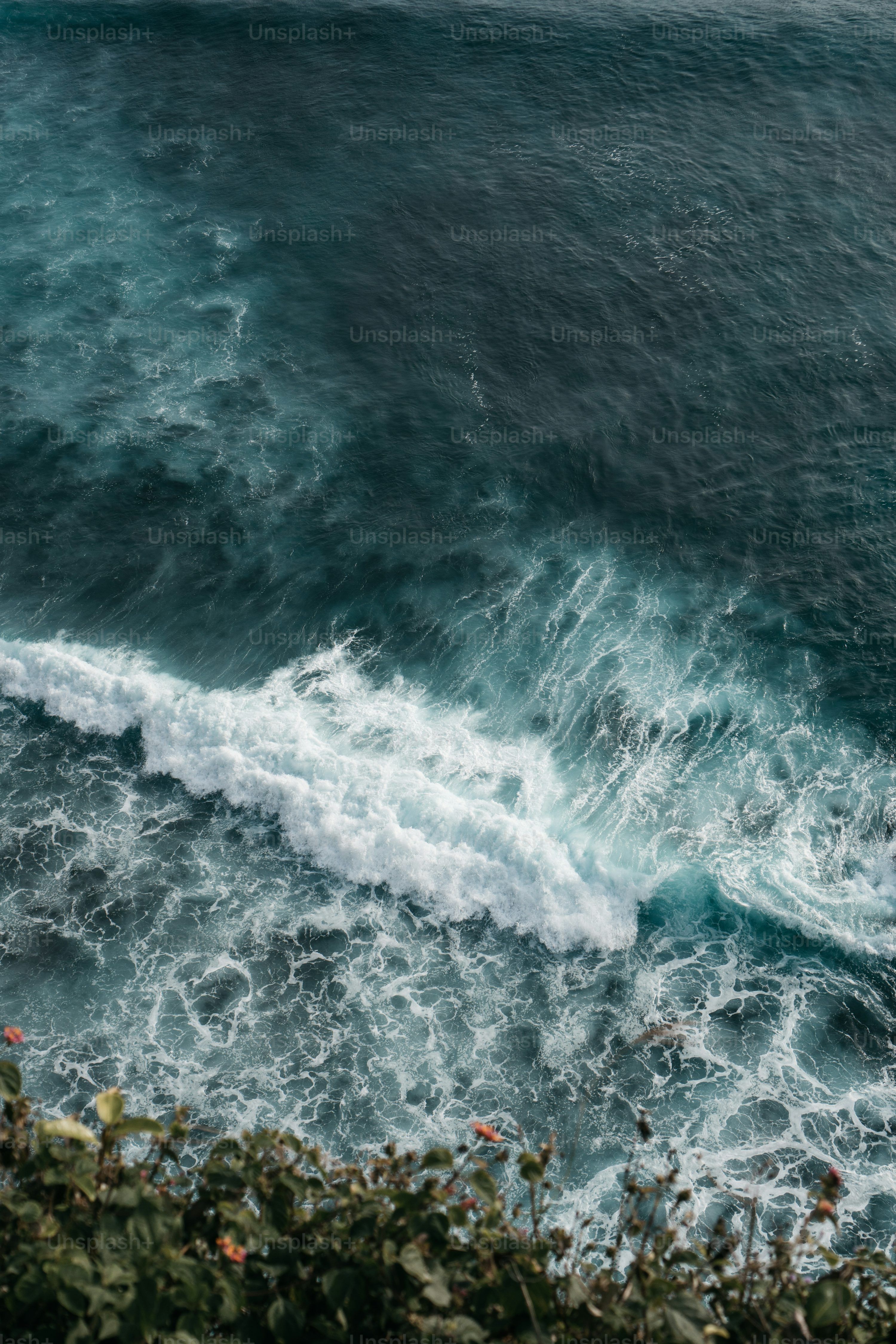 3000x4500 HD Nature Wallpaper Picture. Download Free Image