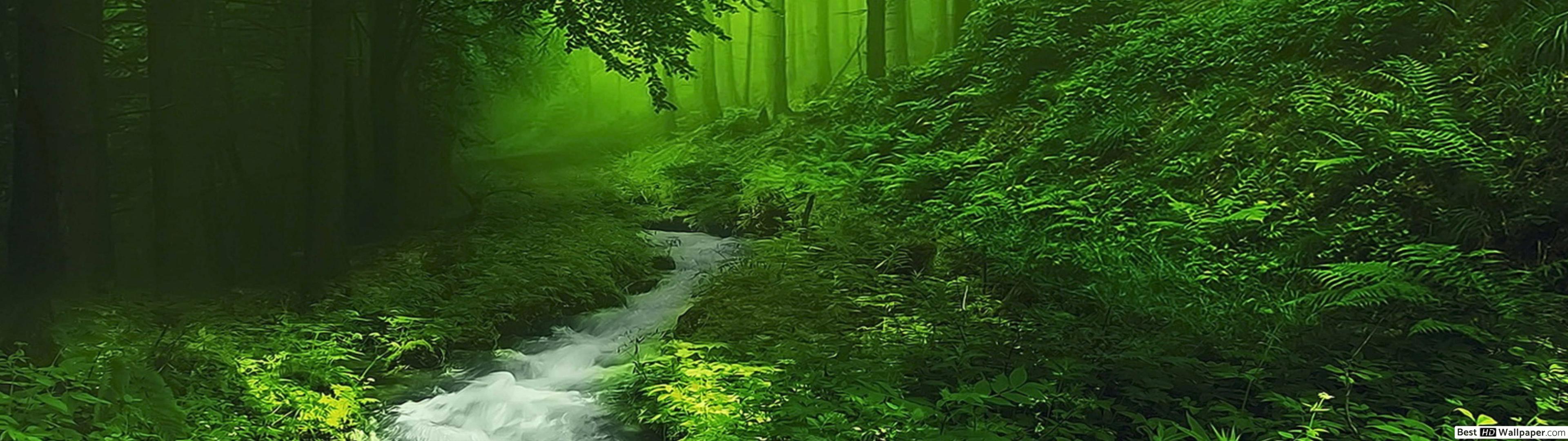 3840x1080 Forest Wallpapers - Top Free 3840x1080 Forest Backgrounds