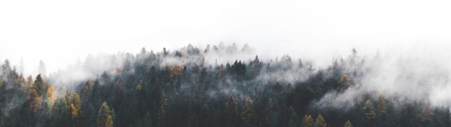 1860x523 Rolling Fog