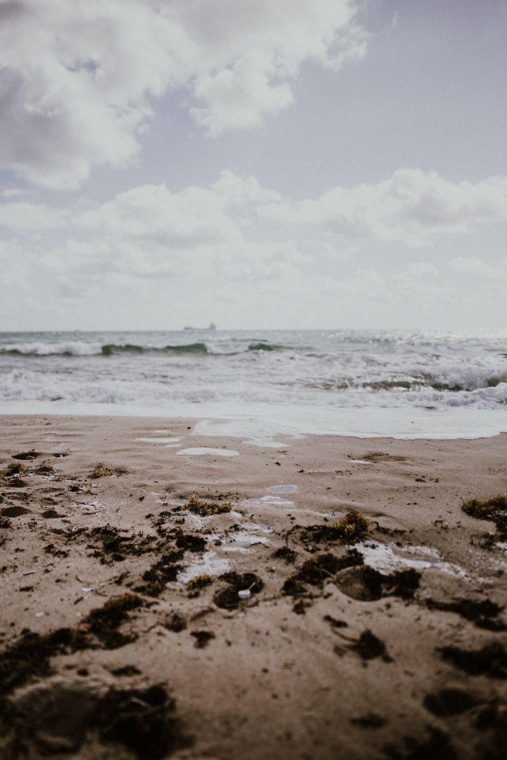 1000x1498 Fort Lauderdale Picture. Download Free Image