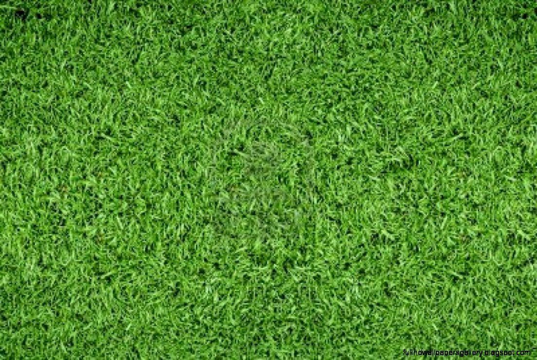 1104x742 Soccer Field HD Wallpaper. Full HD Wallpaper