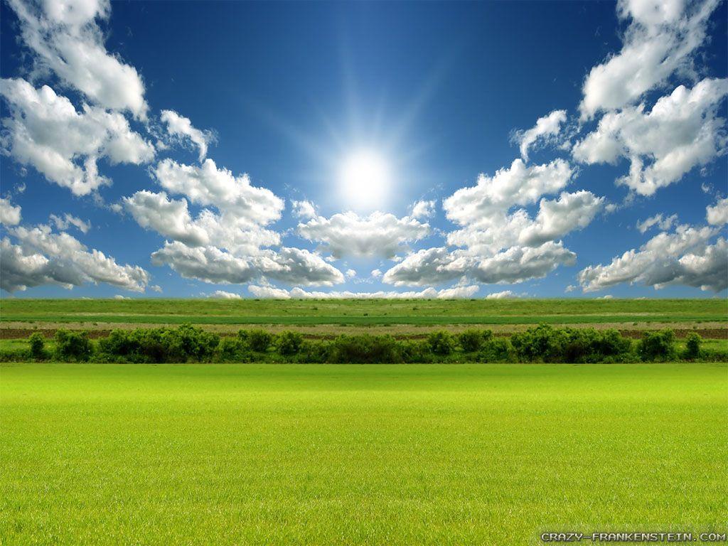 1024x768 Soccer Field Wallpaper, image collections of wallpaper