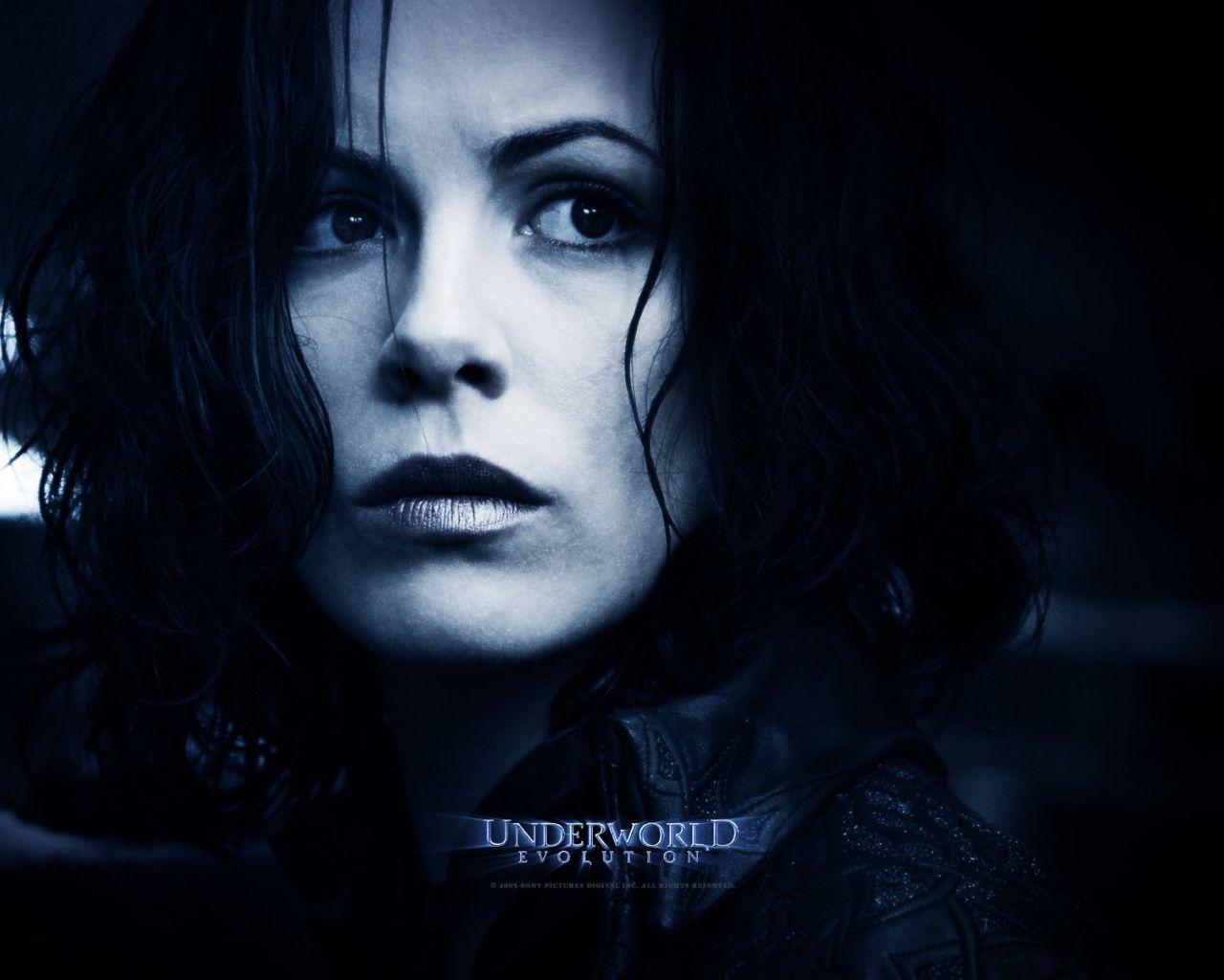 1280x1024 Evolution woman face wallpaper. Evolution woman face