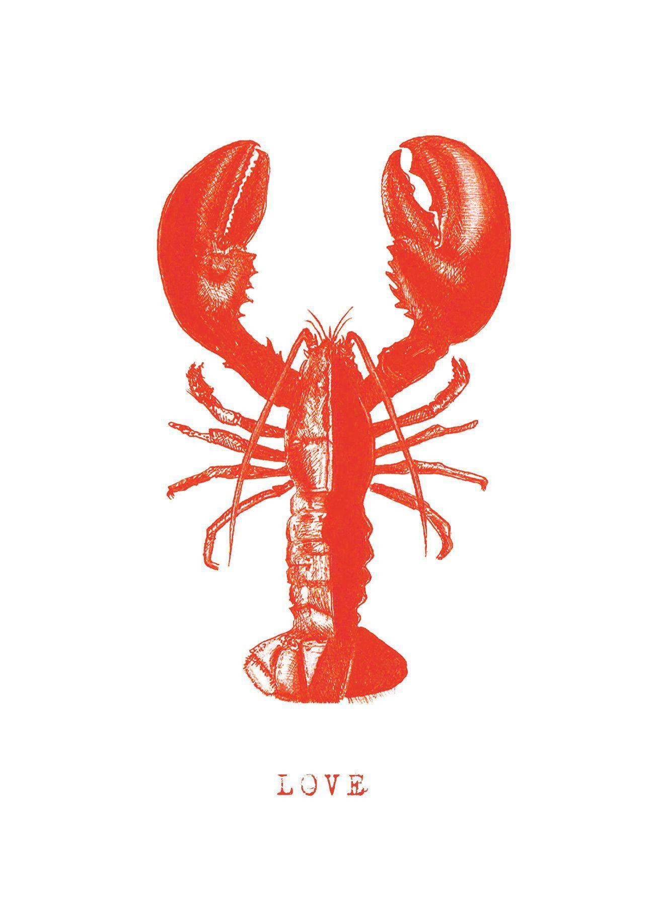 Lobster Wallpapers - Top Free Lobster Backgrounds - WallpaperAccess