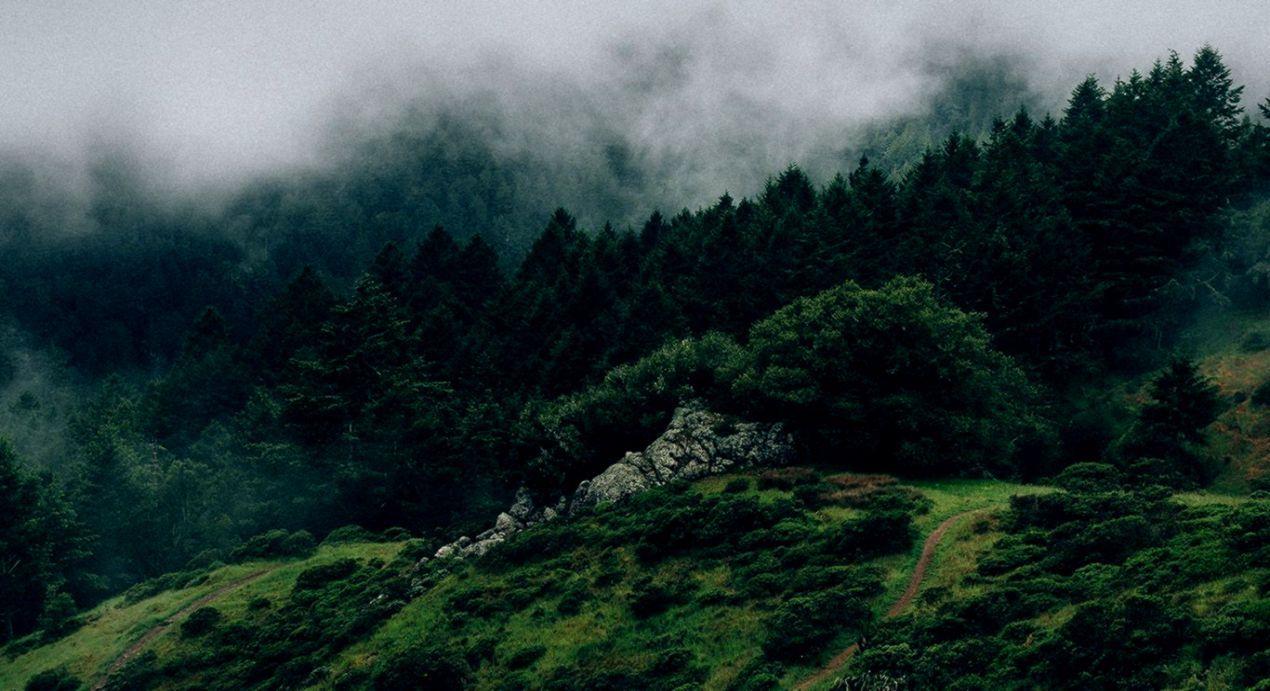 1270x691 Na25 Nature Mountain Green Mac Wallpaper Pinterest