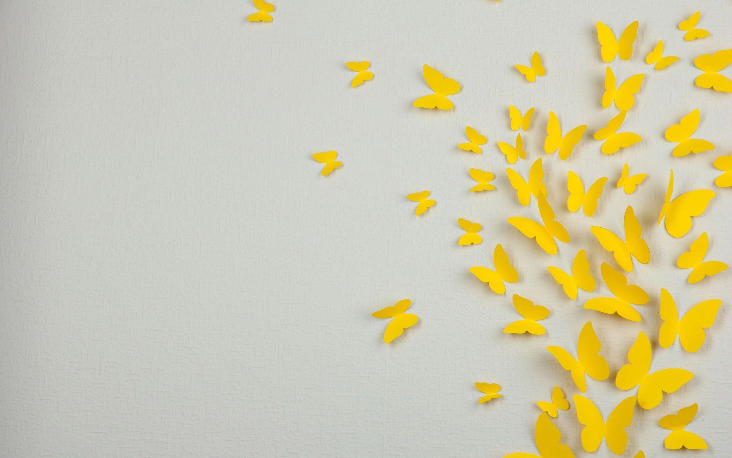 2560x1600 Pastel Aesthetic Yellow Background HD Wallpaper