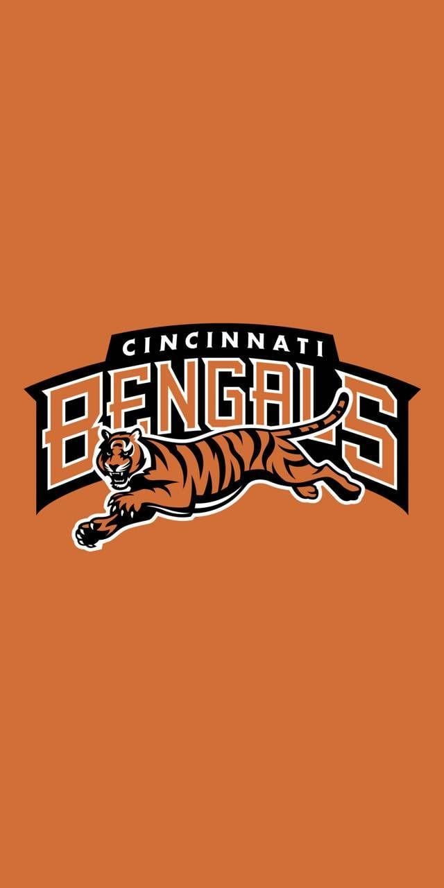 Bengals Wallpapers Top Free Bengals Backgrounds