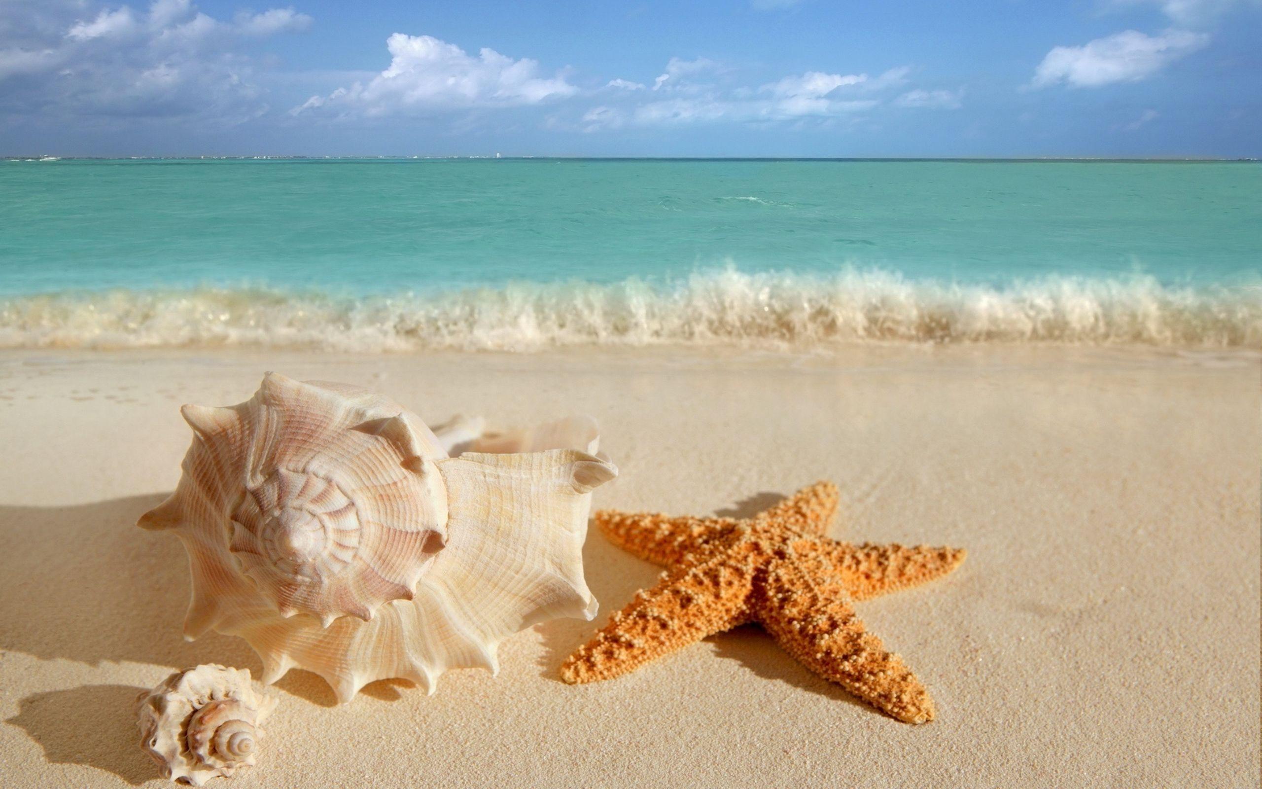 2560x1600 Wallpaper Beach Waves Big Wave Beach Wave Wallpaper For Home