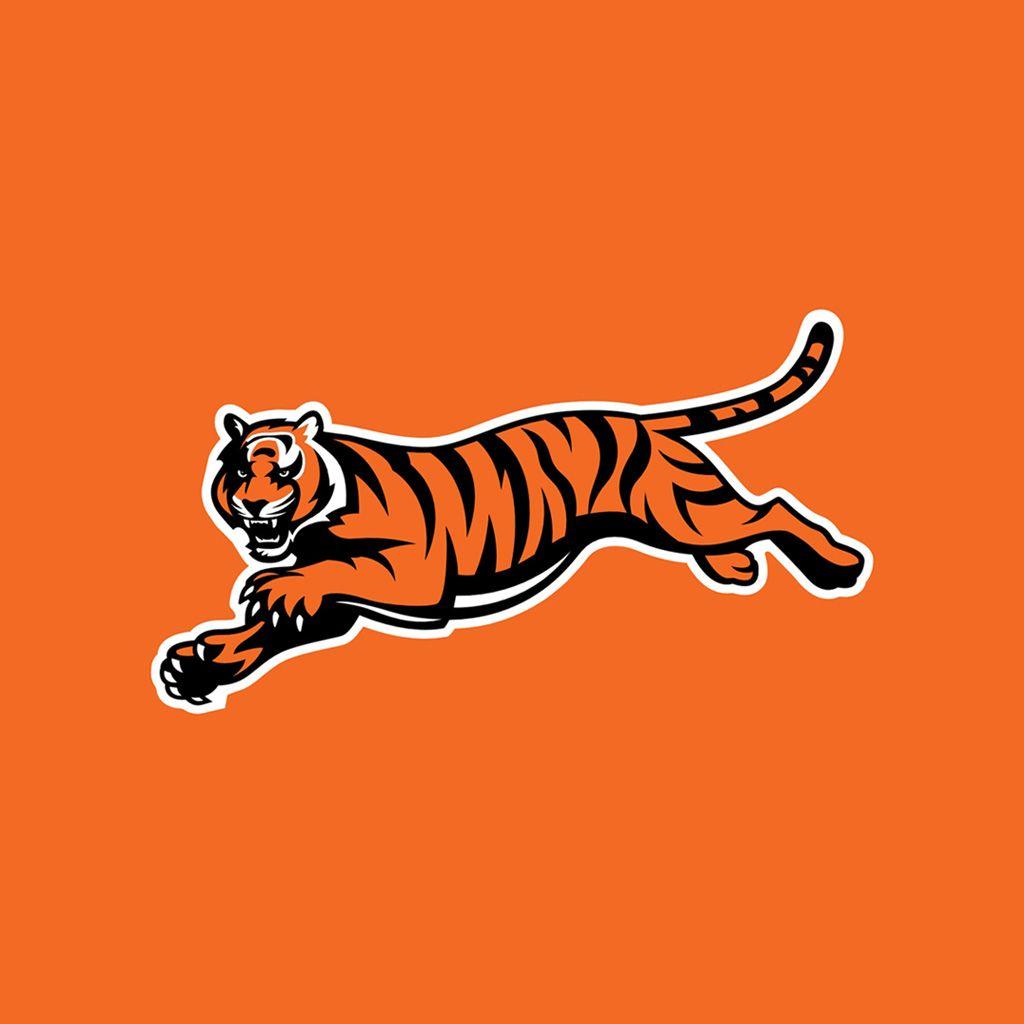 1024x1024 iPad Wallpaper with the Cincinnati Bengals Team Logos. Digital
