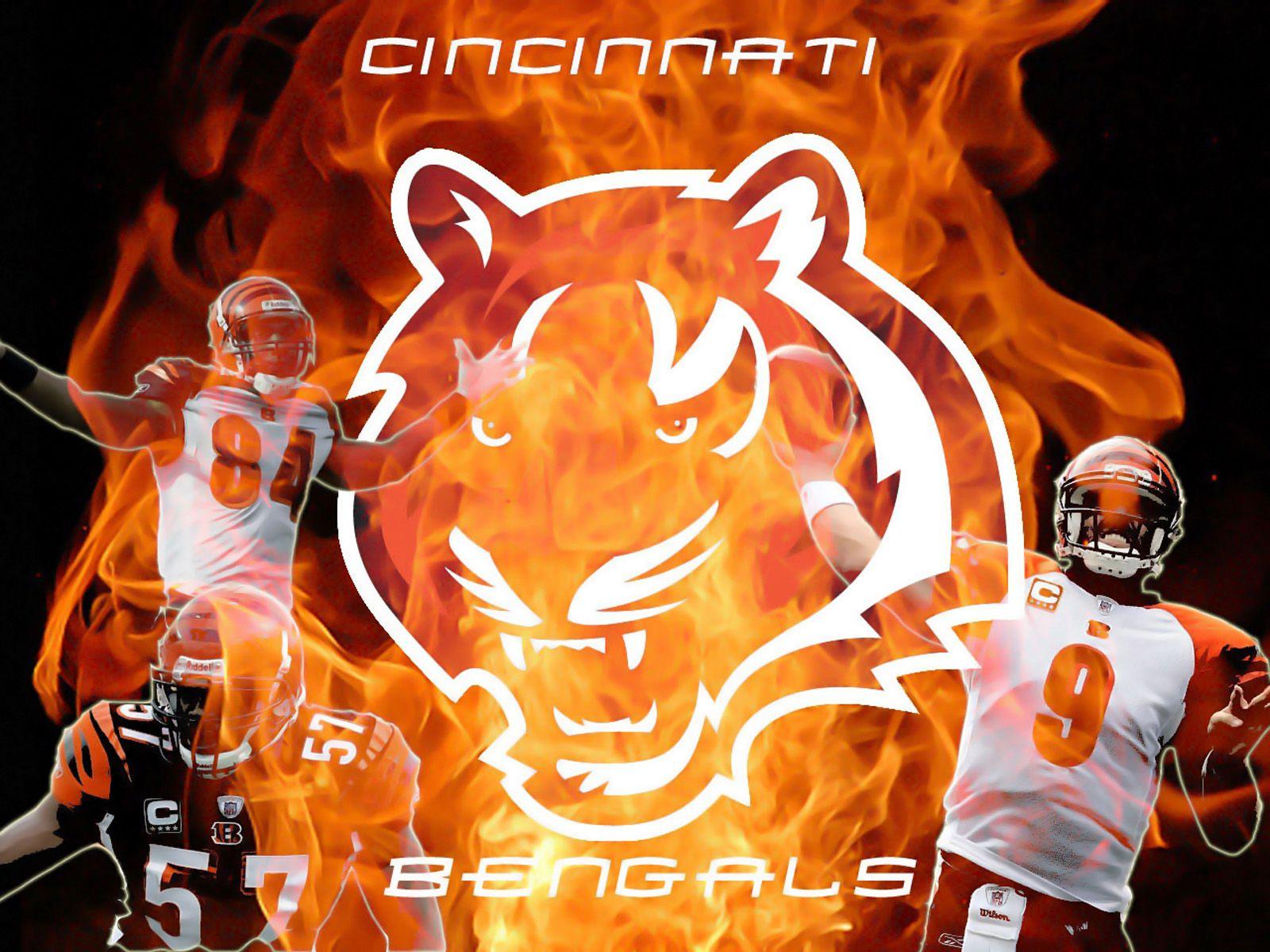1600x1200 HD Cincinnati Bengals Wallpaper