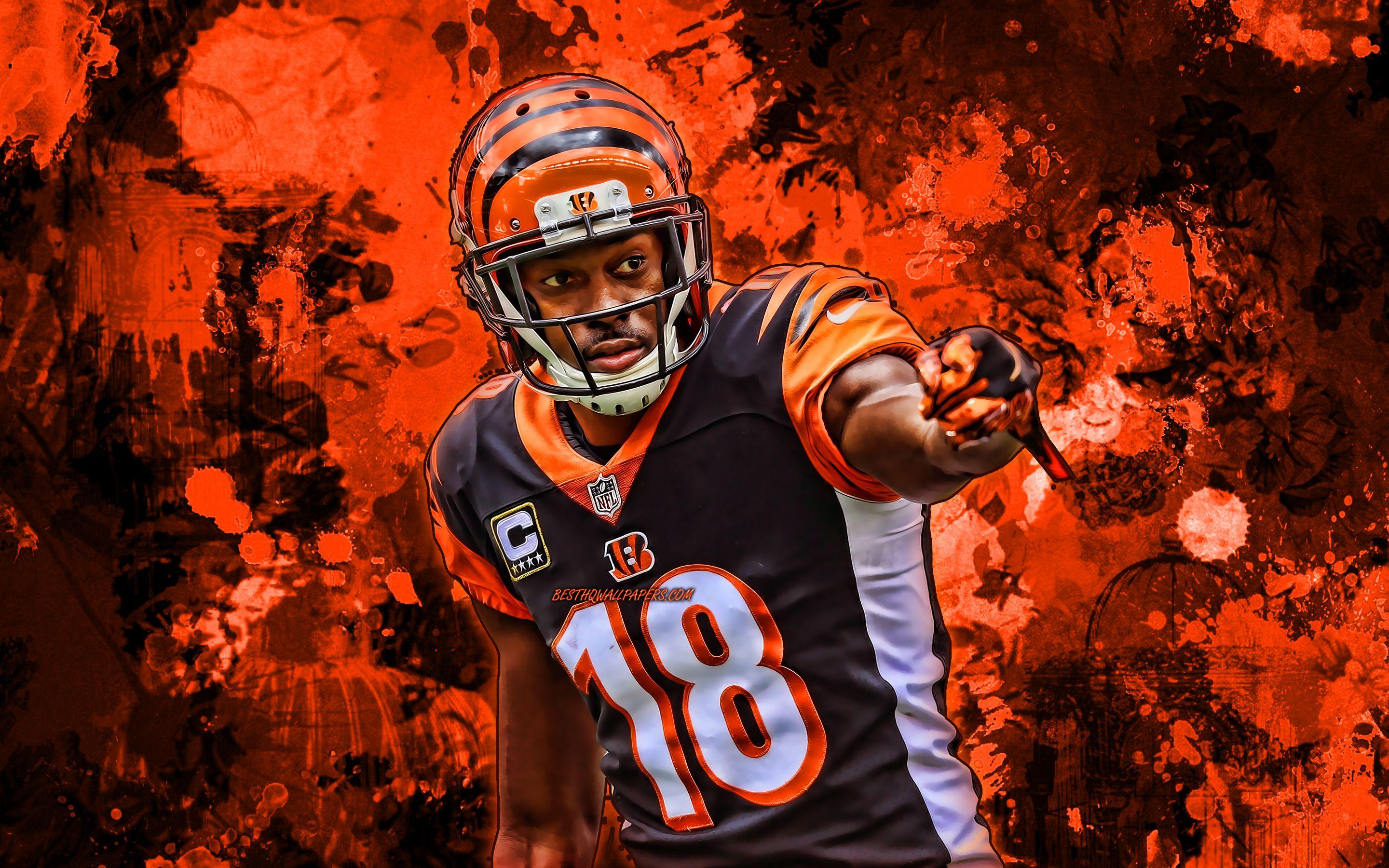 Bengals Wallpapers - Top Free Bengals Backgrounds - WallpaperAccess