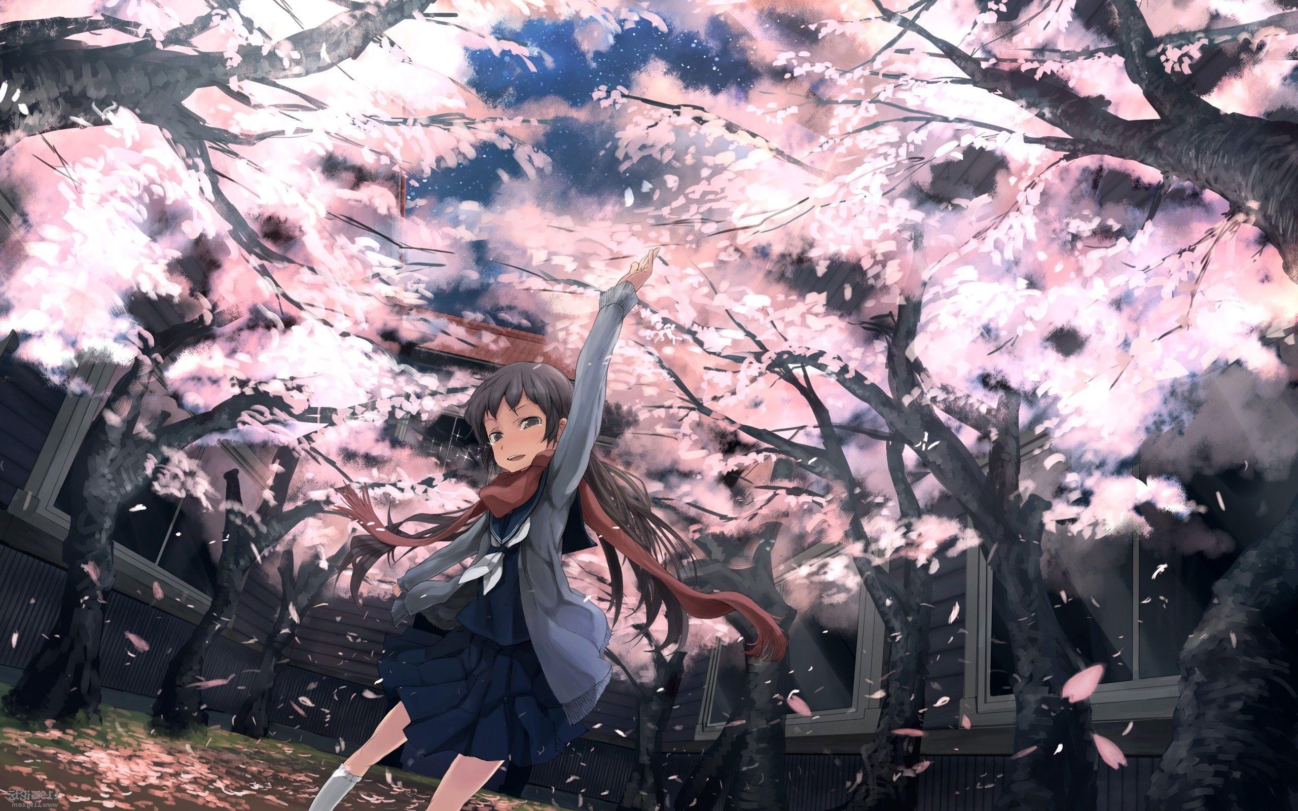 HD wallpaper: cherry blossom graphics, anime, plant, flower, flowering  plant | Wallpaper Flare