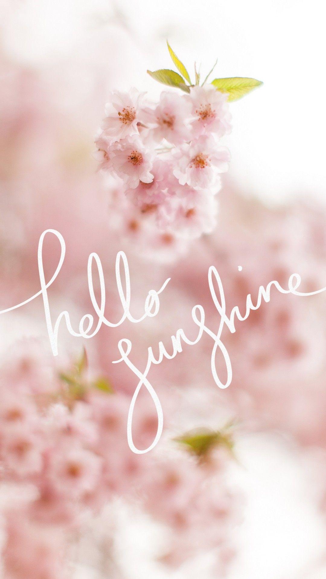 Cute Spring Phone Wallpapers Top Free Cute Spring Phone Backgrounds Wallpaperaccess
