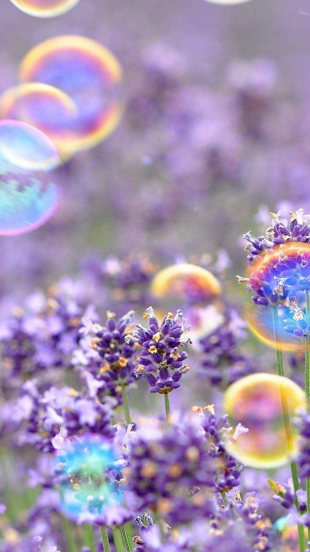 Cute Spring Wallpapers - Top Free Cute Spring Backgrounds - WallpaperAccess