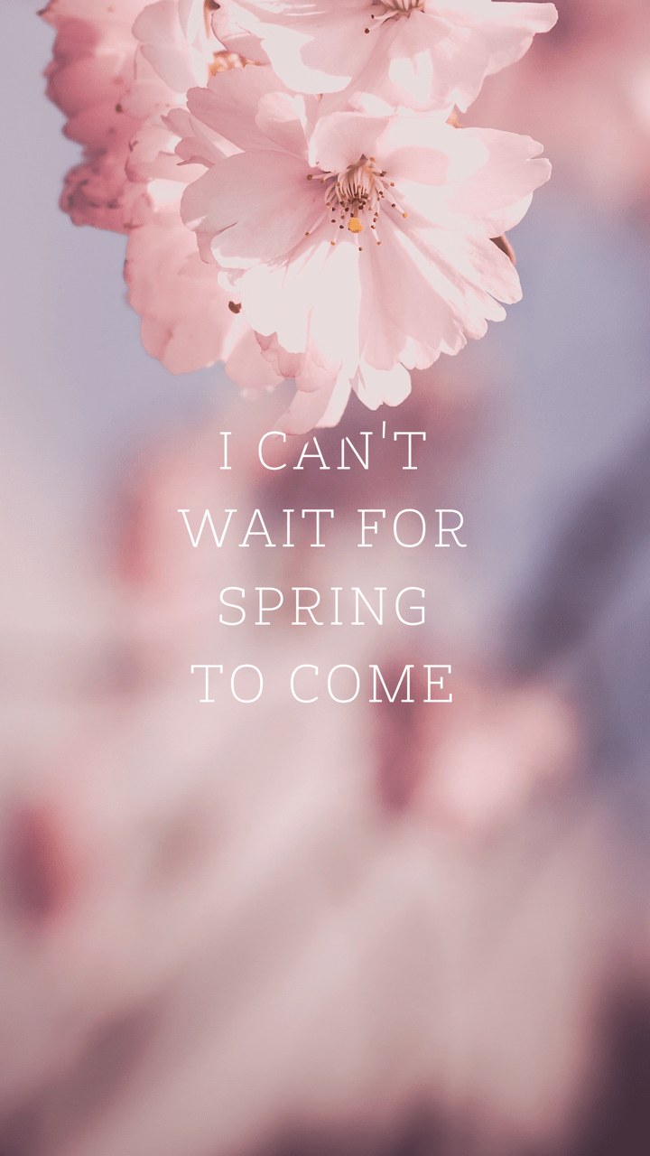 720x1280 Spring Wallpaper Tumblr 896271 Cherry Blossom Wallpaper