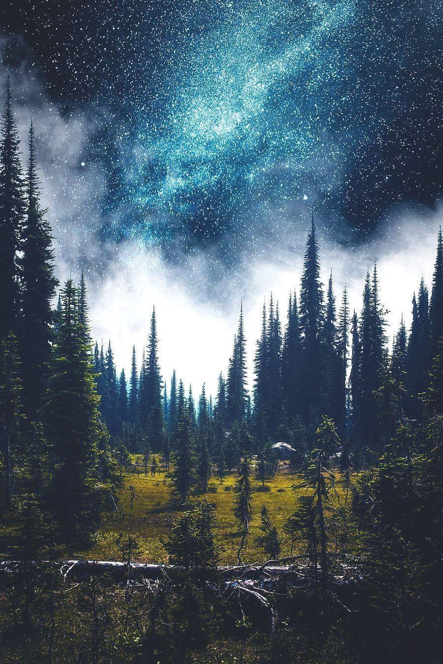 901x1351 Take me there