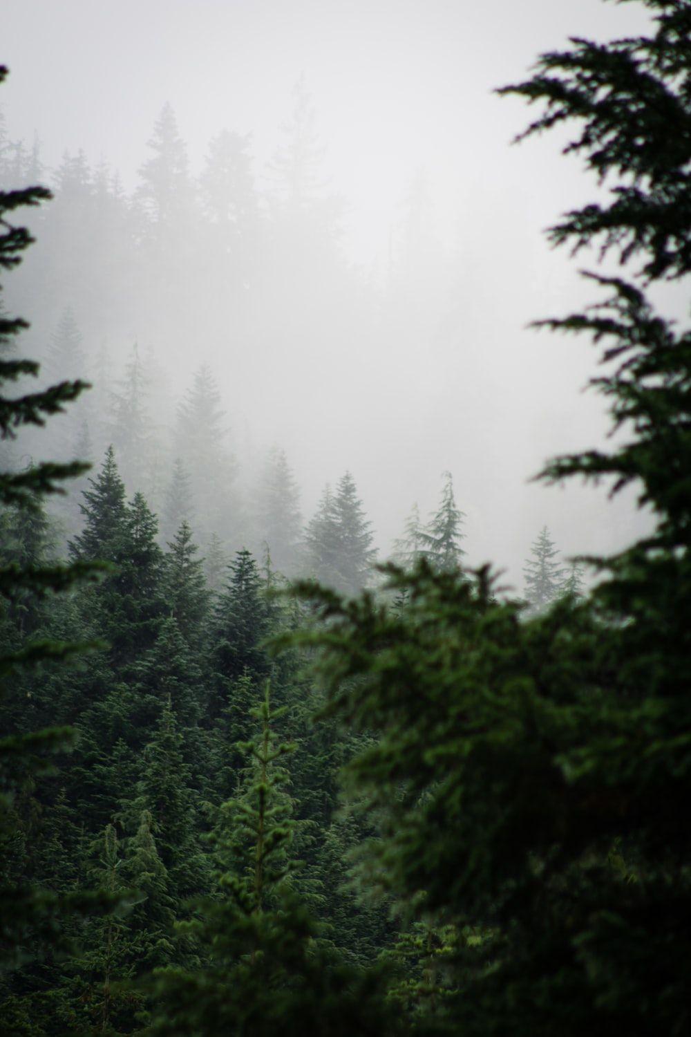 1000x1500 Alpine Lakes Picture. Download Free Image