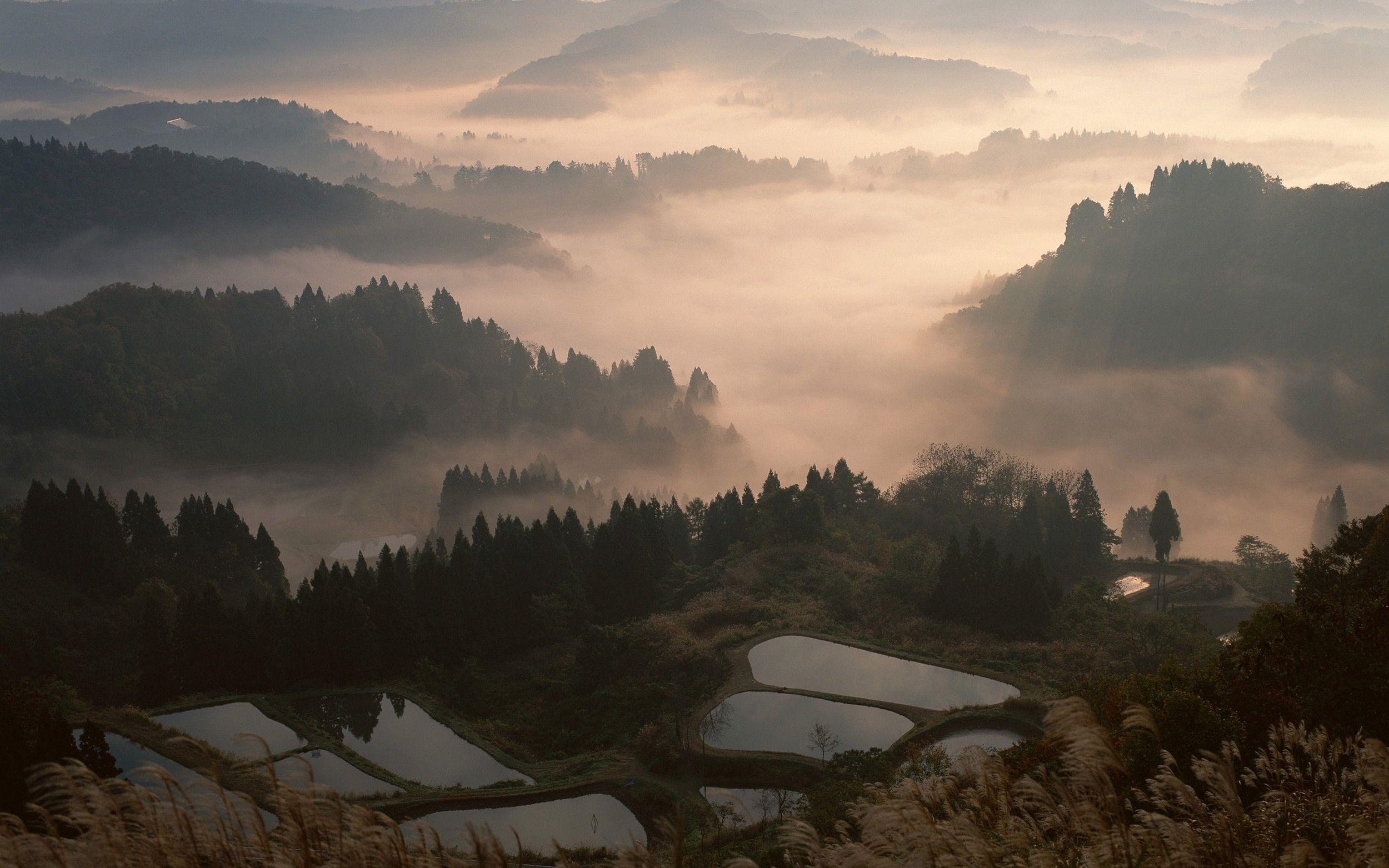 2500x1563 #terraces, #mountains, #valley, #forest, #mist, #trees
