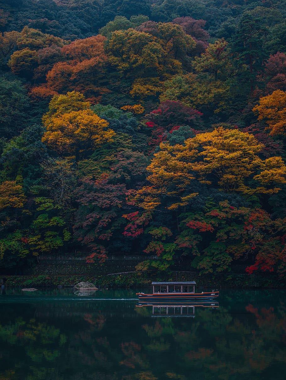 910x1210 Arashiyama station 1080P, 2K, 4K, 5K HD wallpaper free download