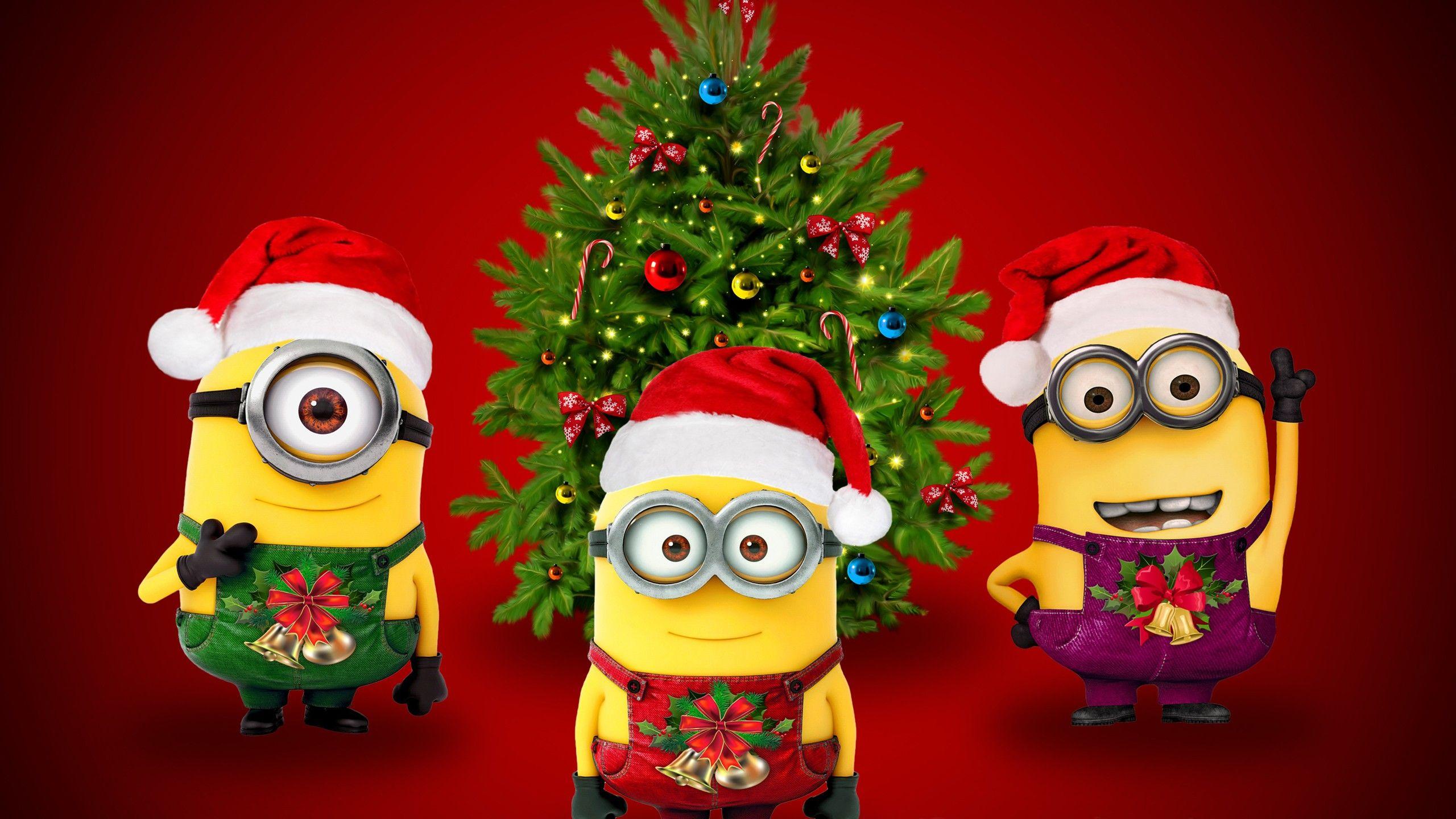 2560x1440 Minions 4K wallpaper for your desktop or mobile screen free and easy to download