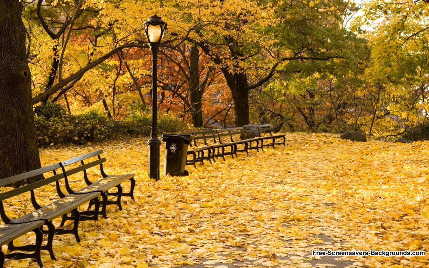 1440x900 New England Fall Wallpaper