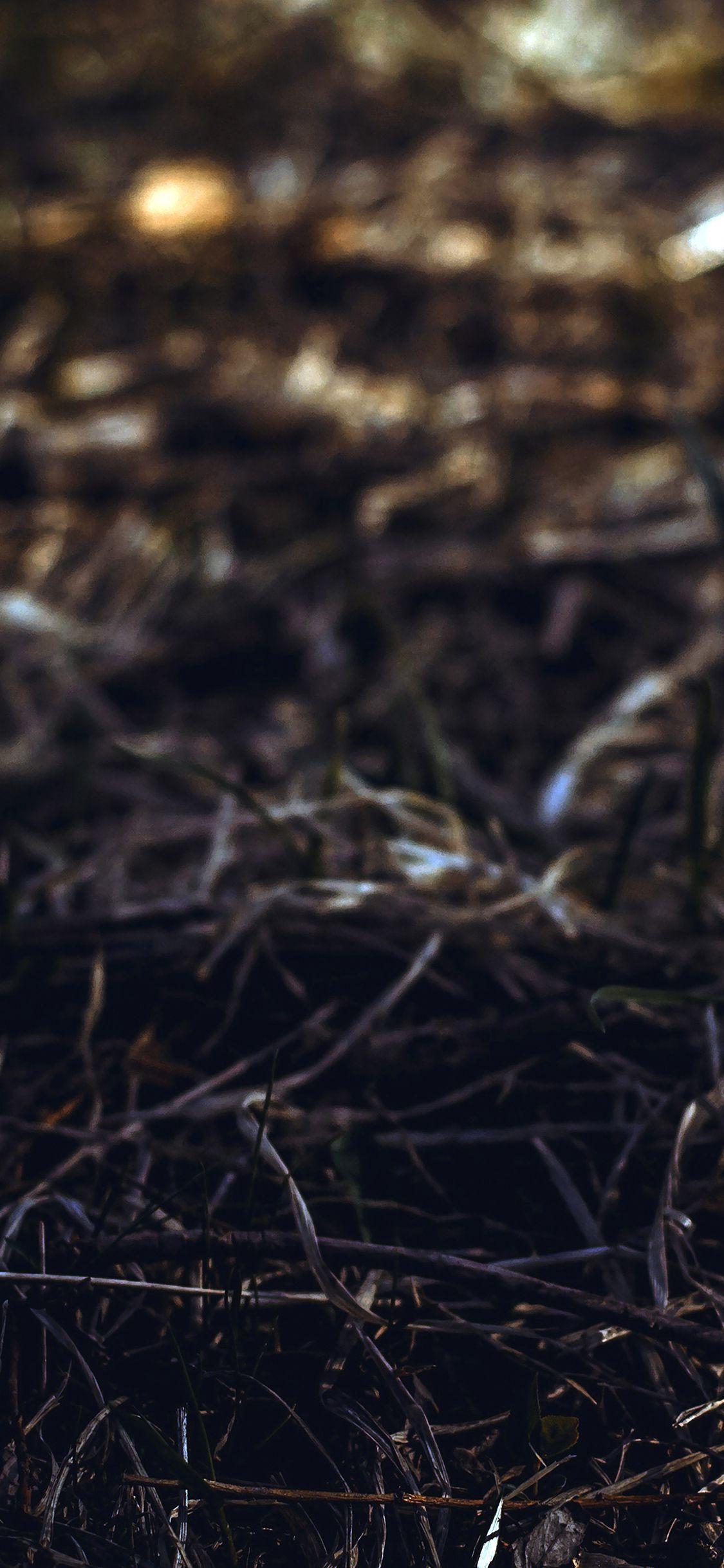 Old iPhone Wallpapers Top Free Old iPhone Backgrounds WallpaperAccess