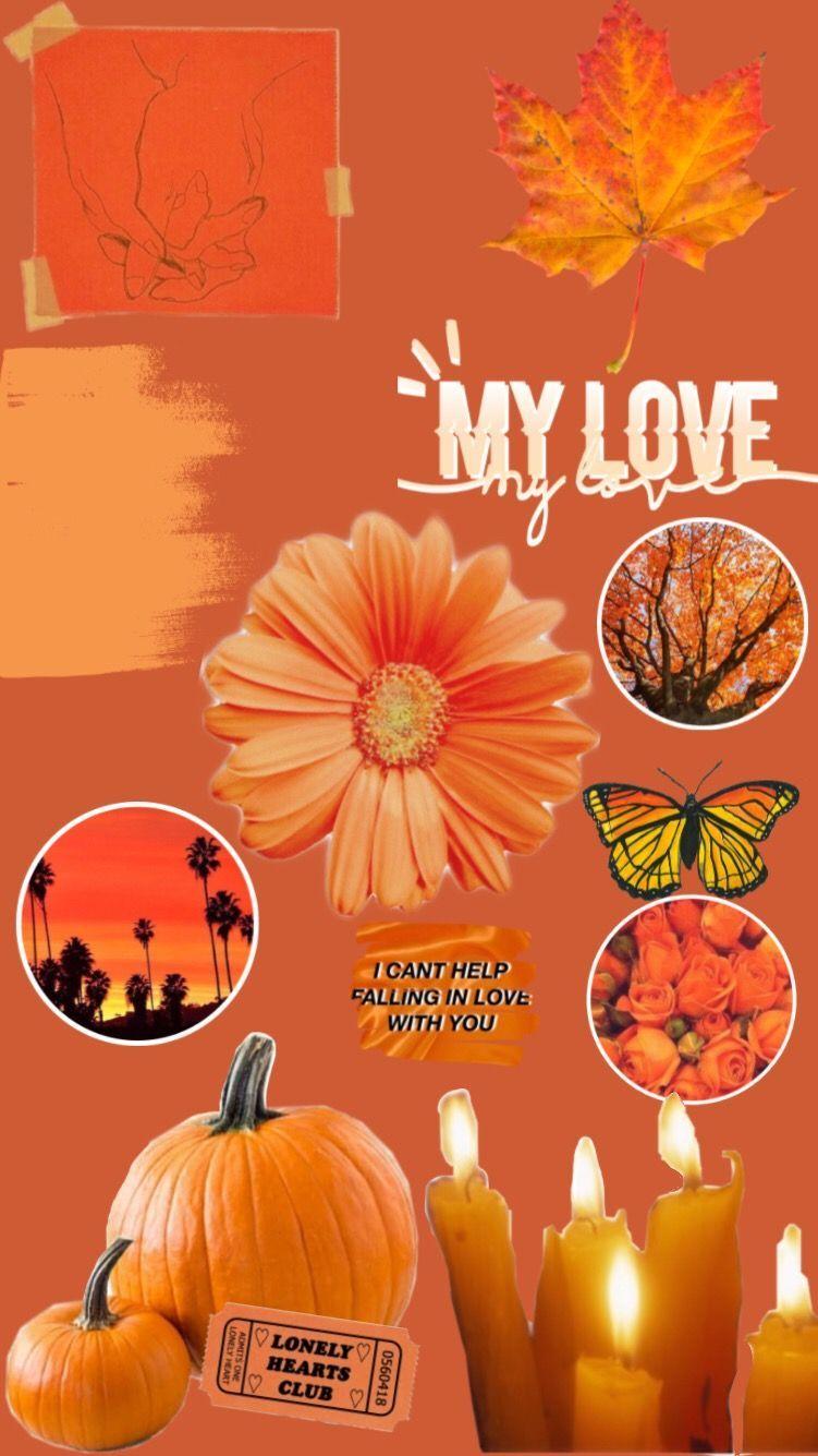 751x1335 Fall Aesthetic Ish Wallpaper Freetoedit Orange Aestheti