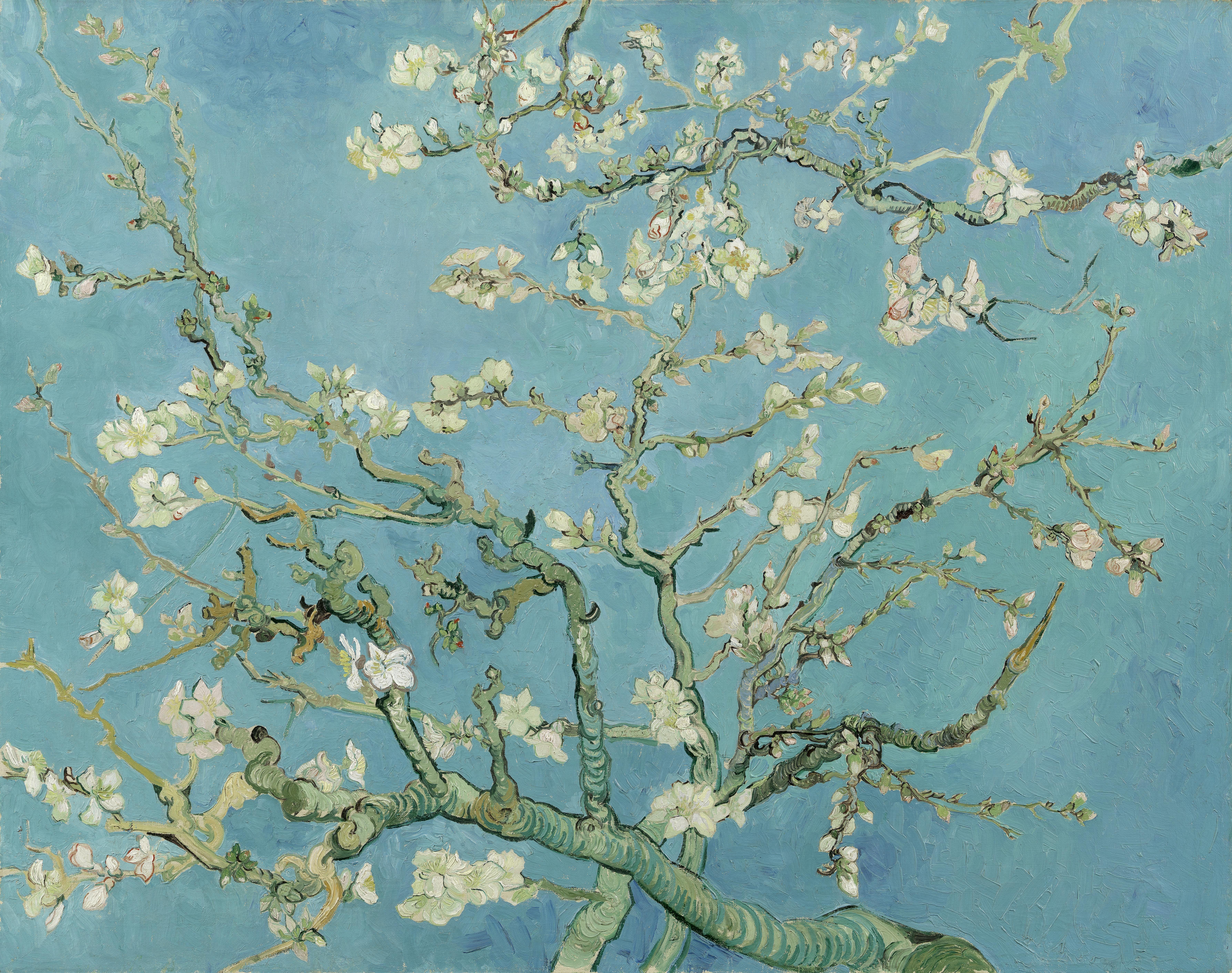 7149x5649 Blue and white floral area rug, Vincent van Gogh, painting HD