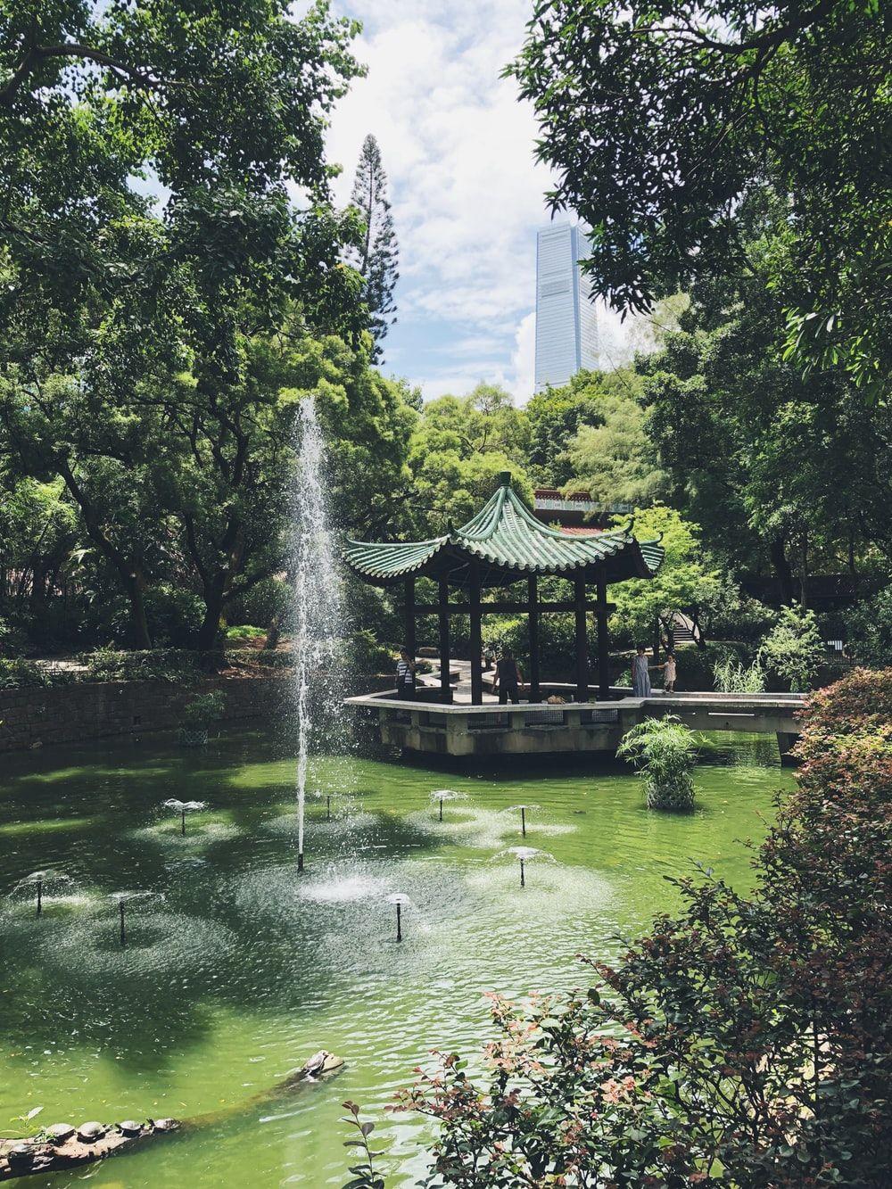 1000x1333 Pond And Green Leafed Trees Photo