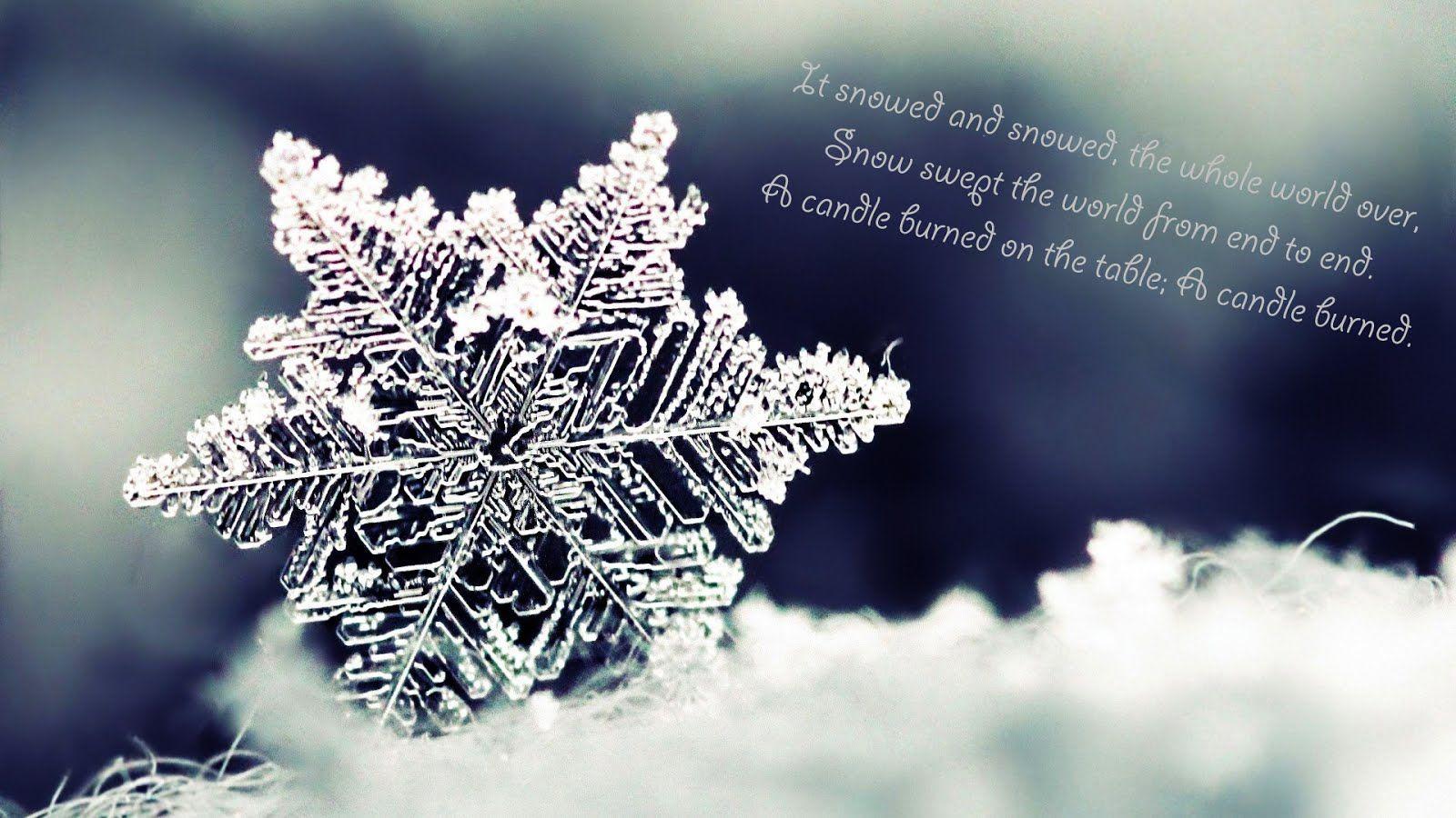 1600x900 Winter Quotes and Sayings with Stunning Image. Snowflake
