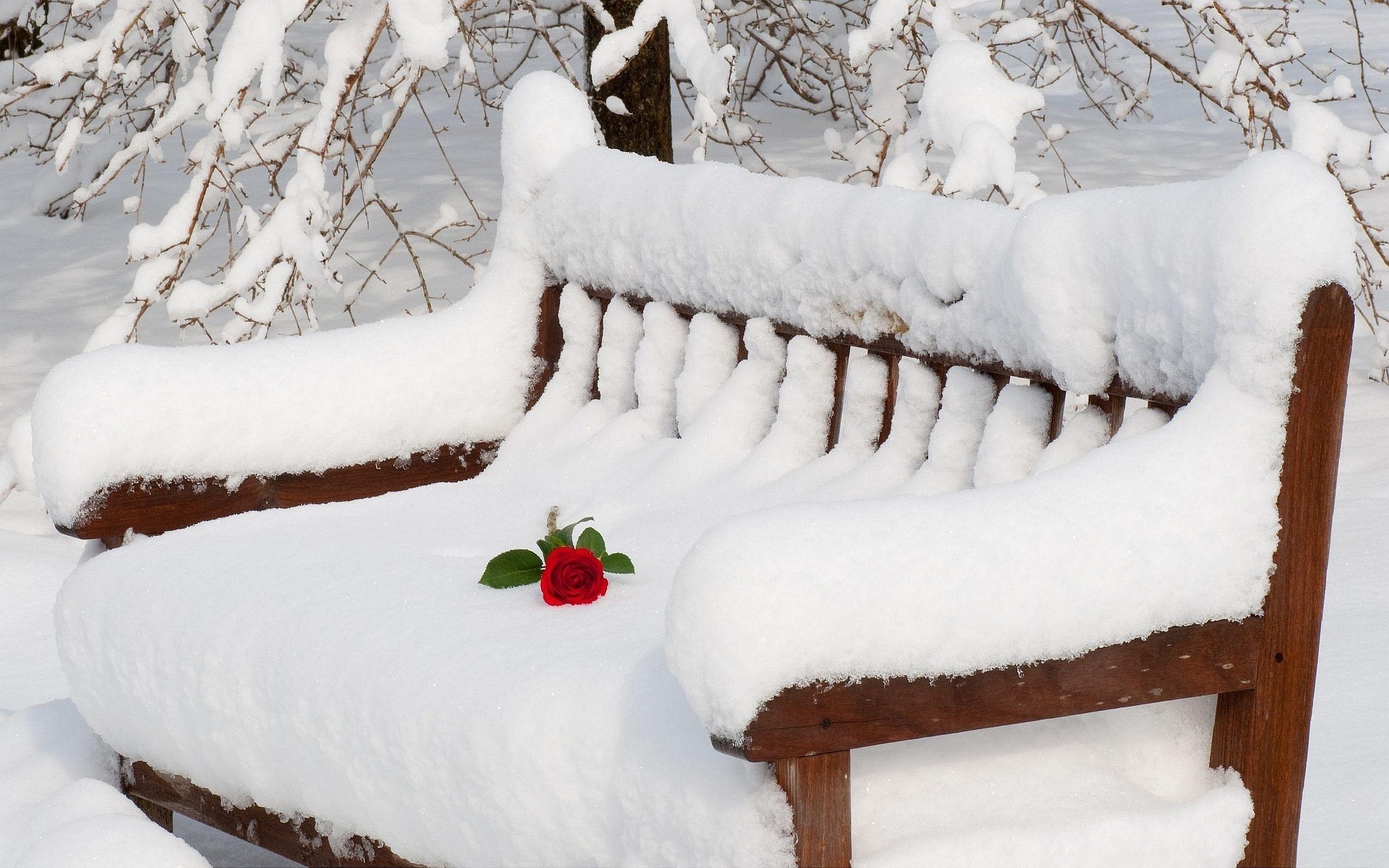 2560x1600 Winter Love Wallpaper