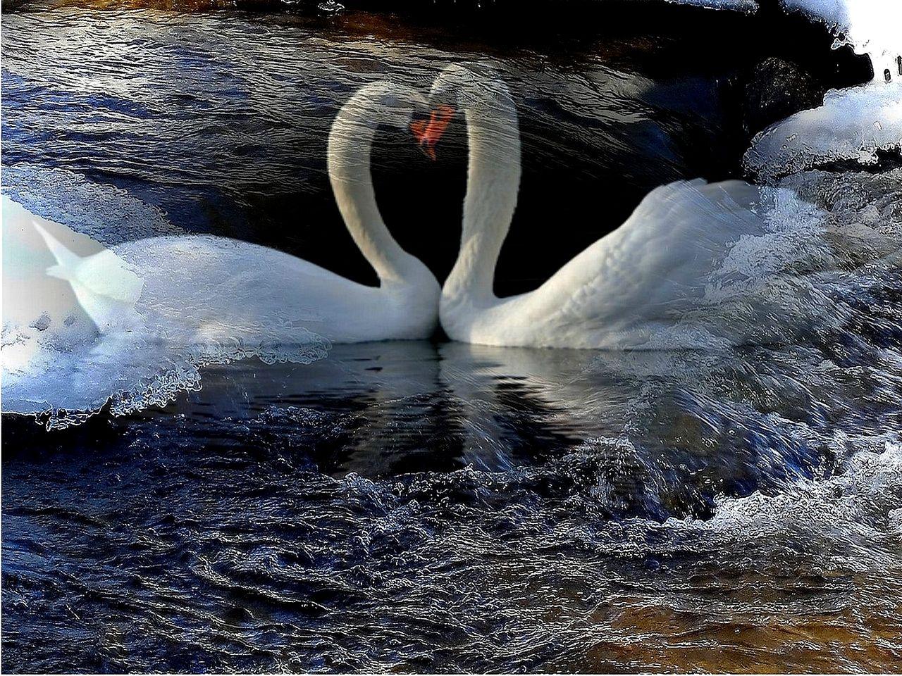 1280x960 Free download 1280x960 WINTER LOVE Wallpaper Download 1280x960