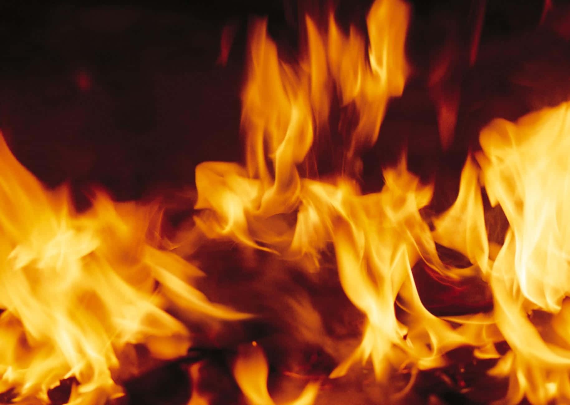 1829x1298 Download Captivating Dance of Flames