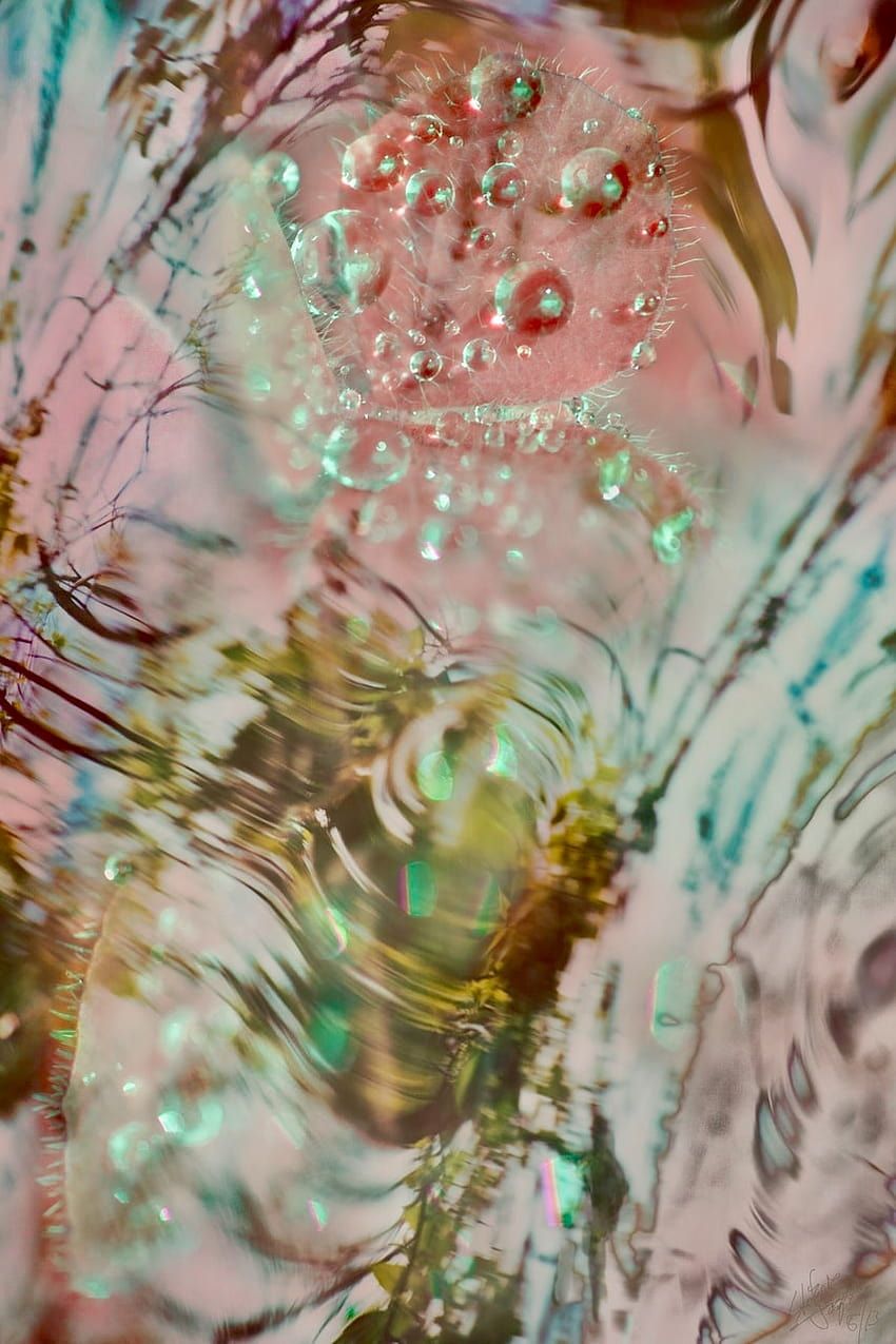 850x1275 Novo amor HD wallpaper