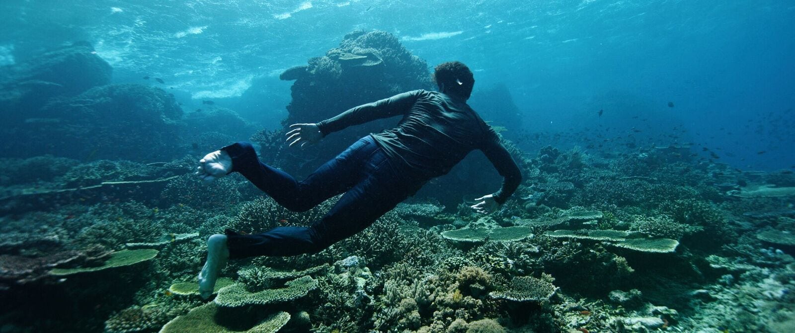 1600x670 We interviewed singer Novo Amor about his latest music video Australia Pacific