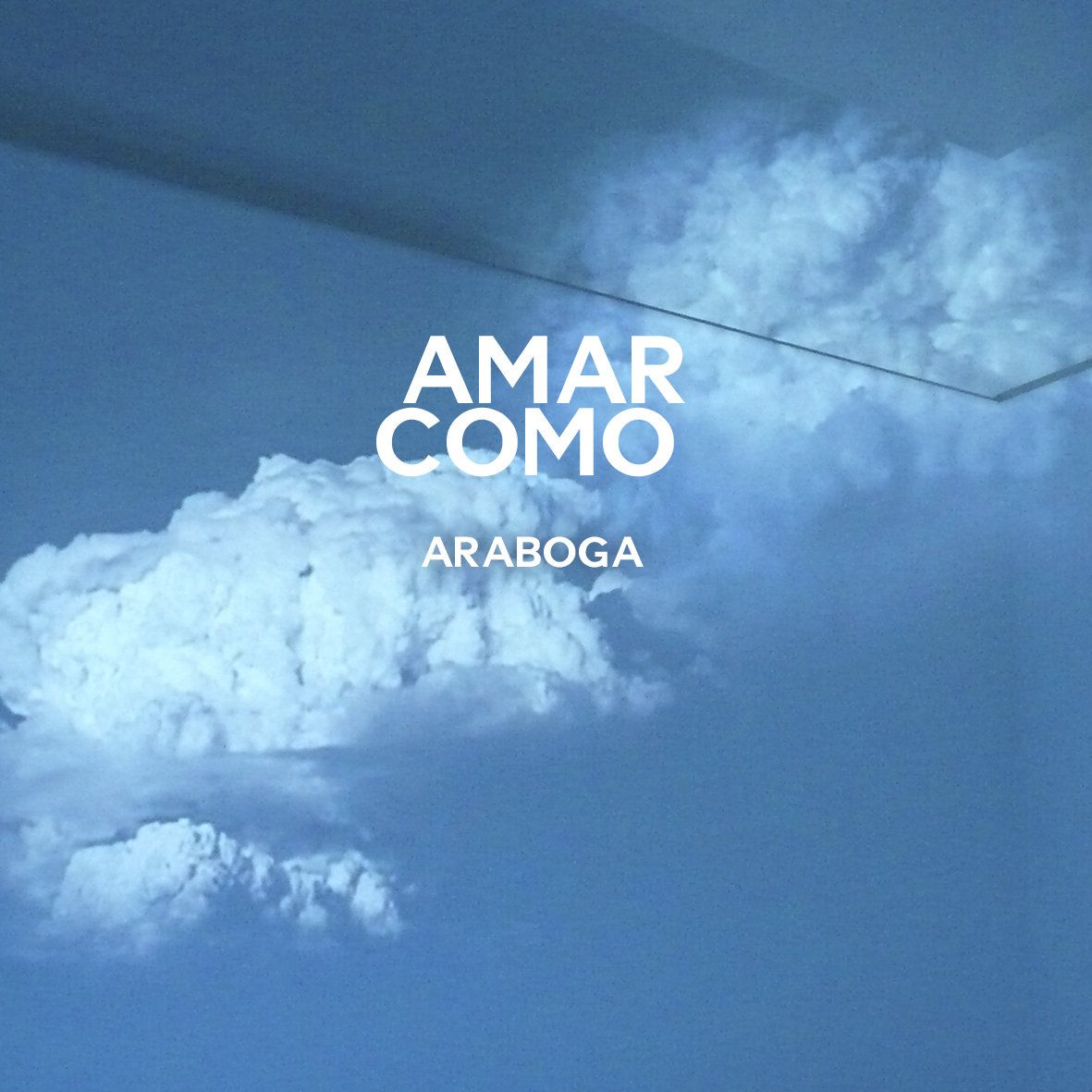 1181x1181 araboga