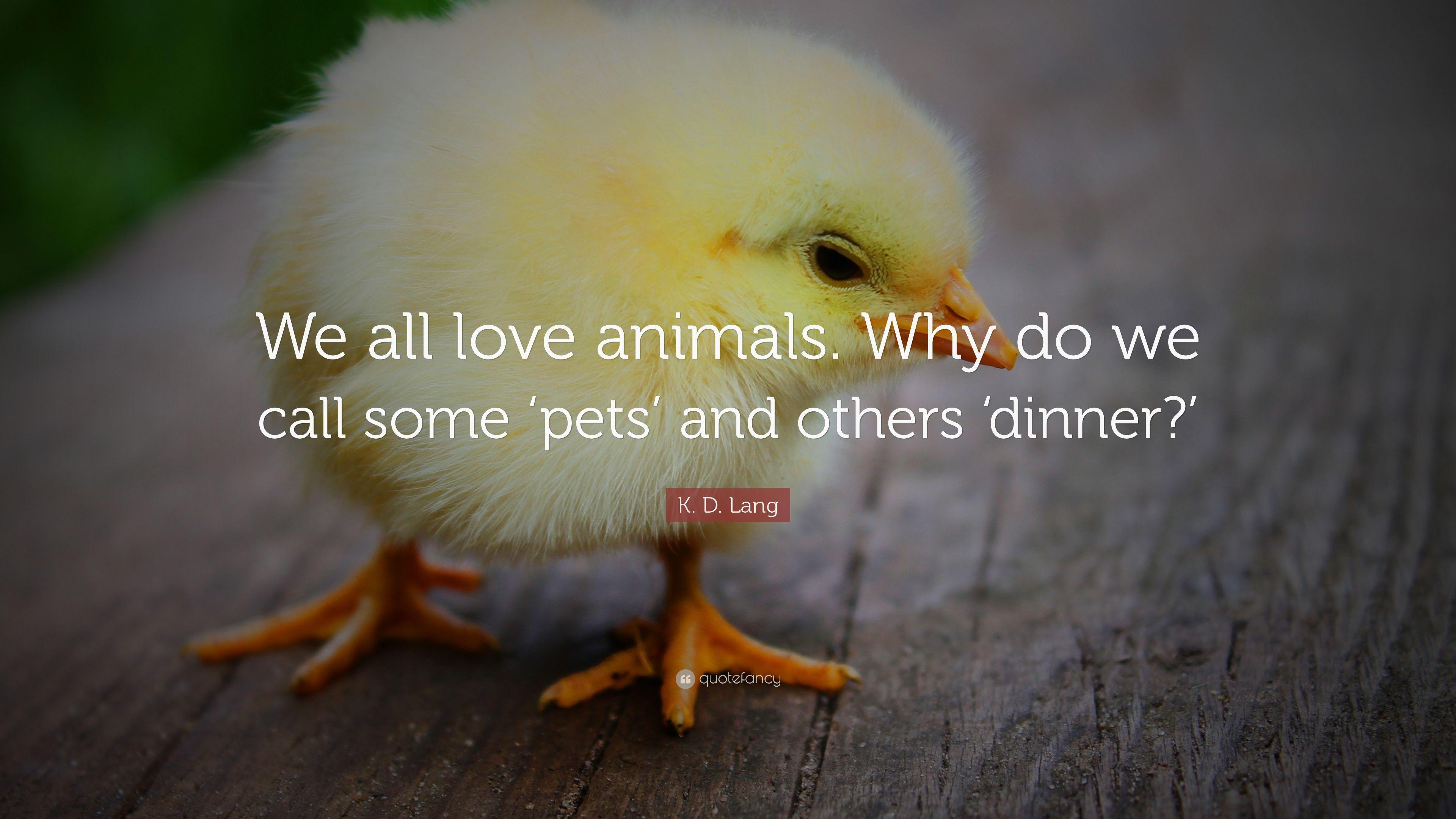 3840x2160 K. D. Lang Quote: “We all love animals. Why do we call some 'pets